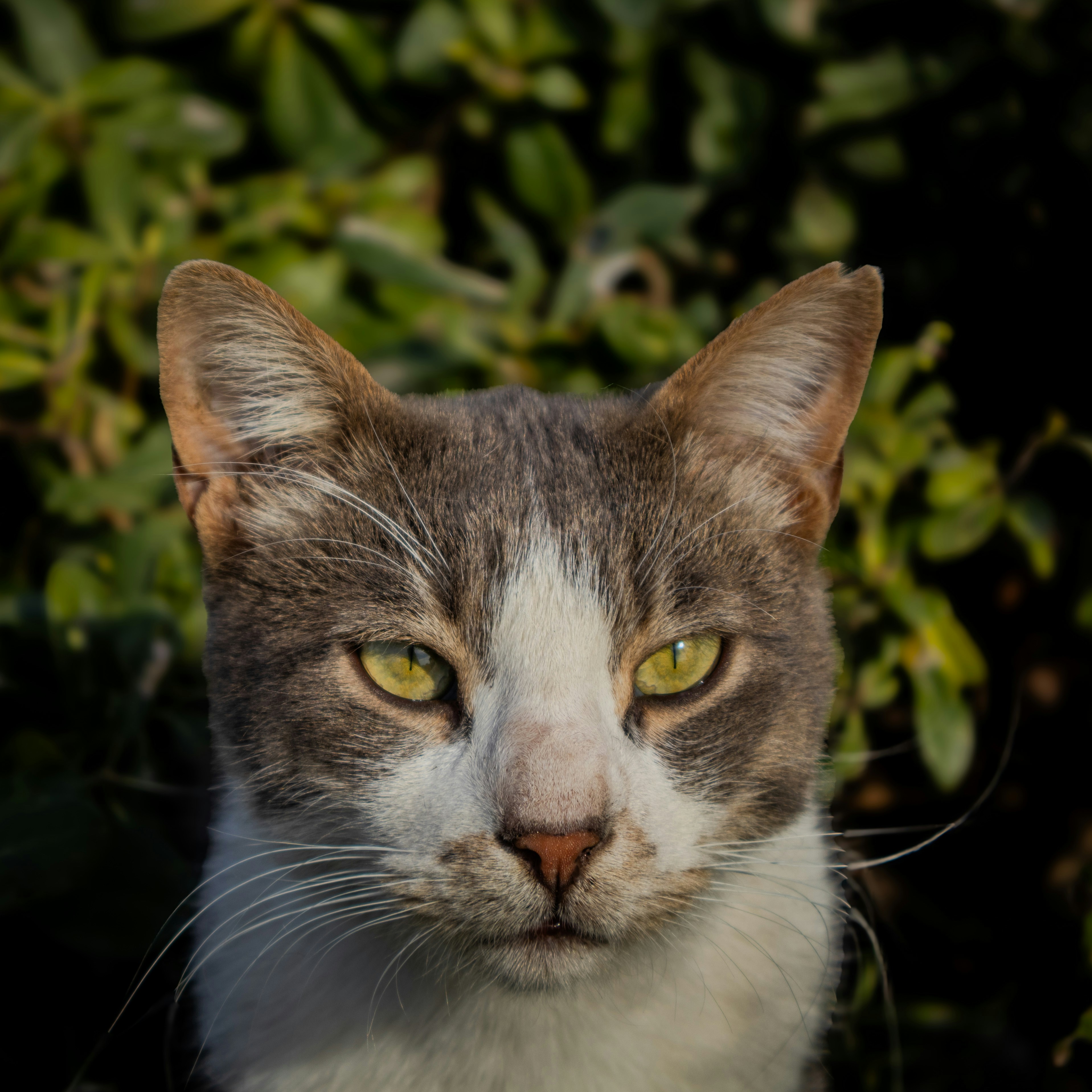 Photo by mucahit_kendihalindemotovlog