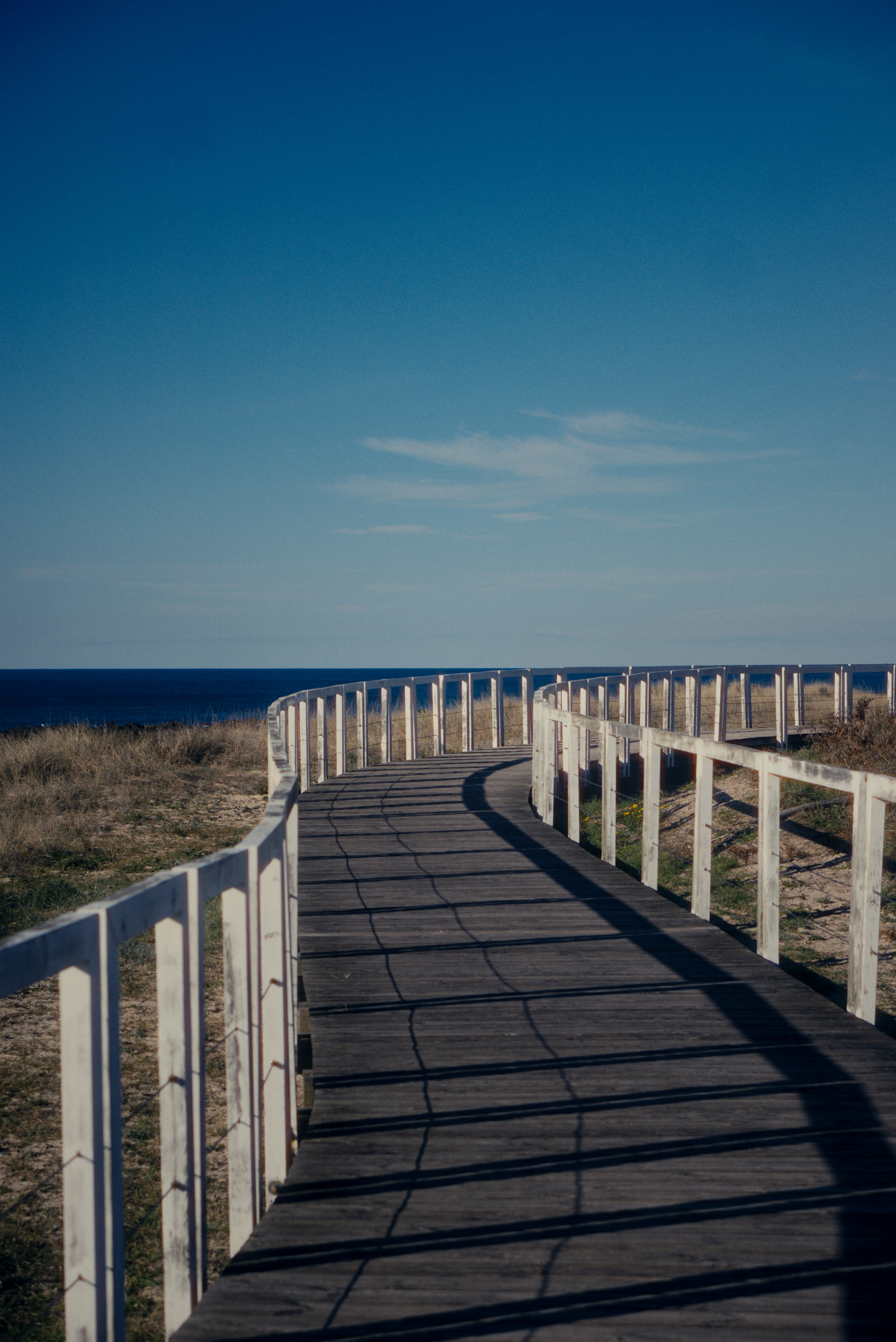 Photo by astashov_artem