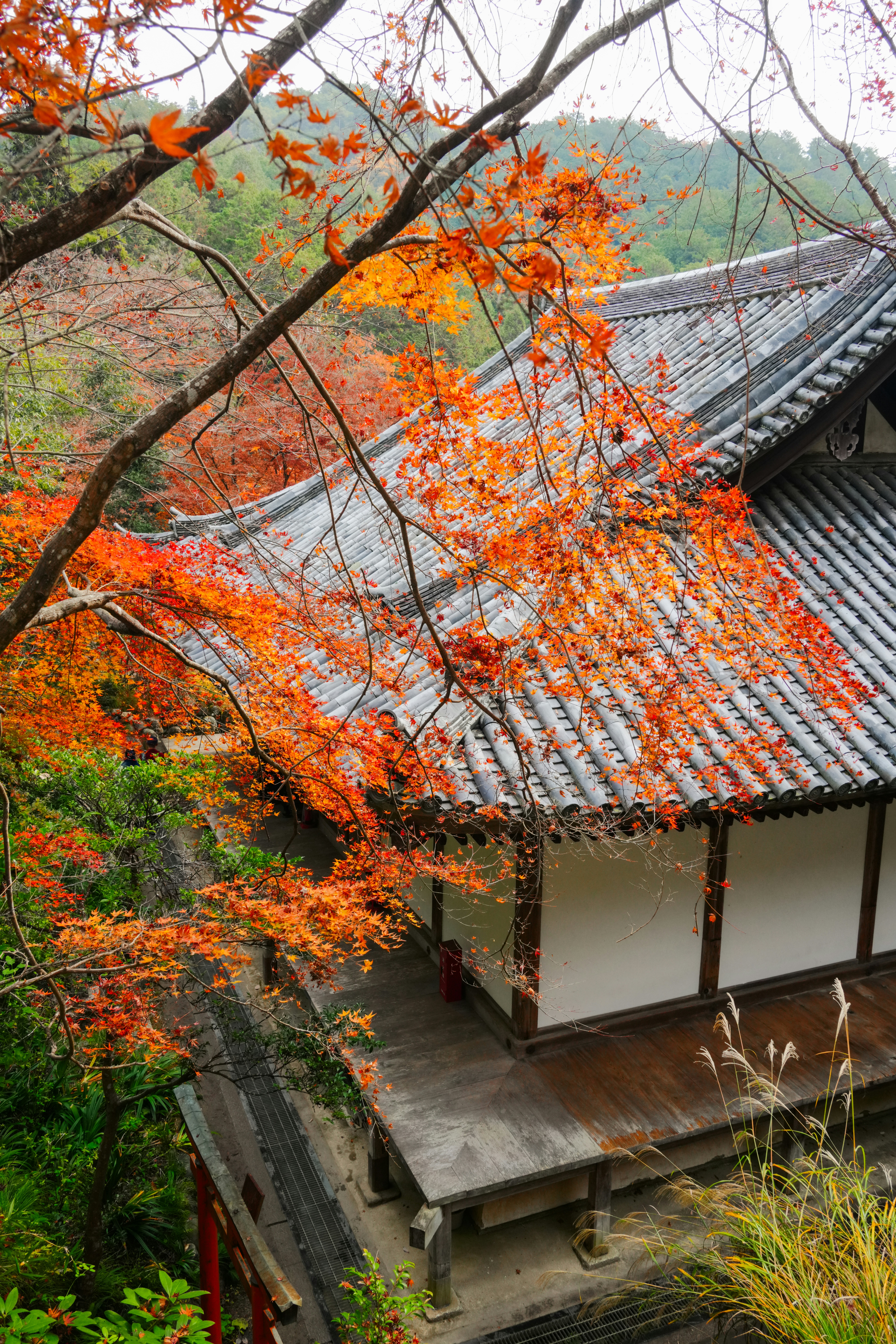 Photo by hattrick1996