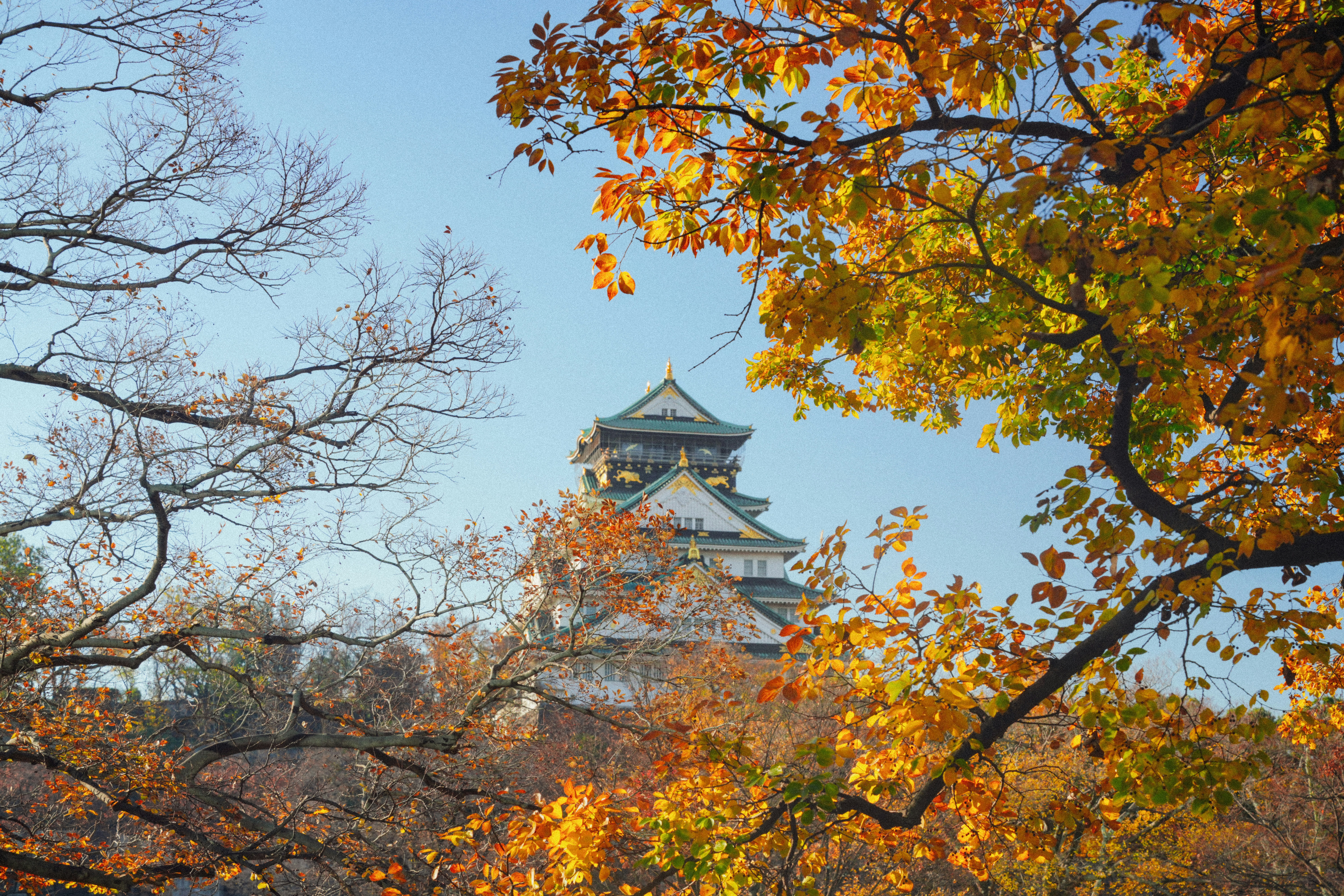 Photo by hattrick1996