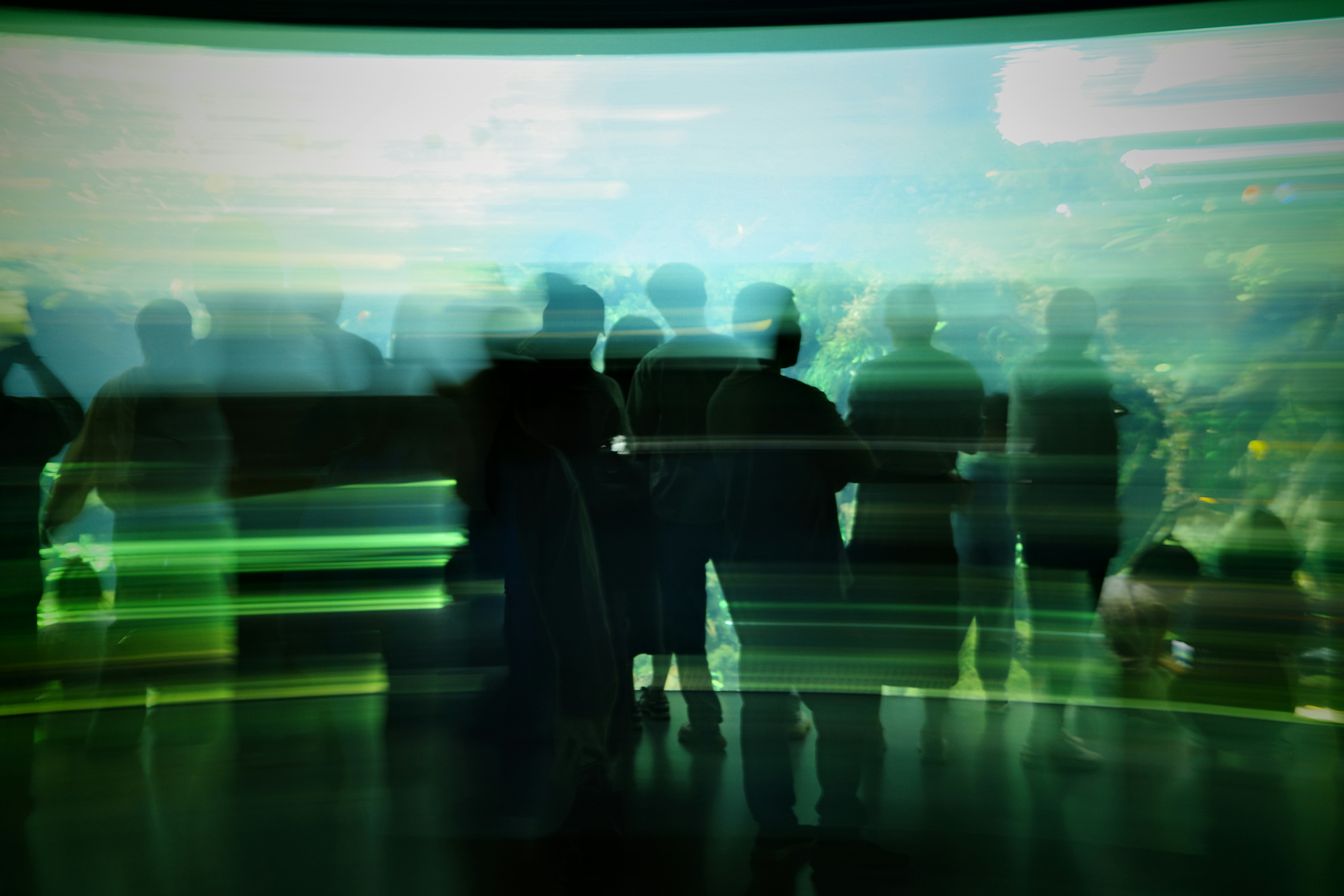 A professional in a dimly lit, modern setting interacting with a floating, holographic data interface, symbolizing AI-powered foresight and trend analysis.