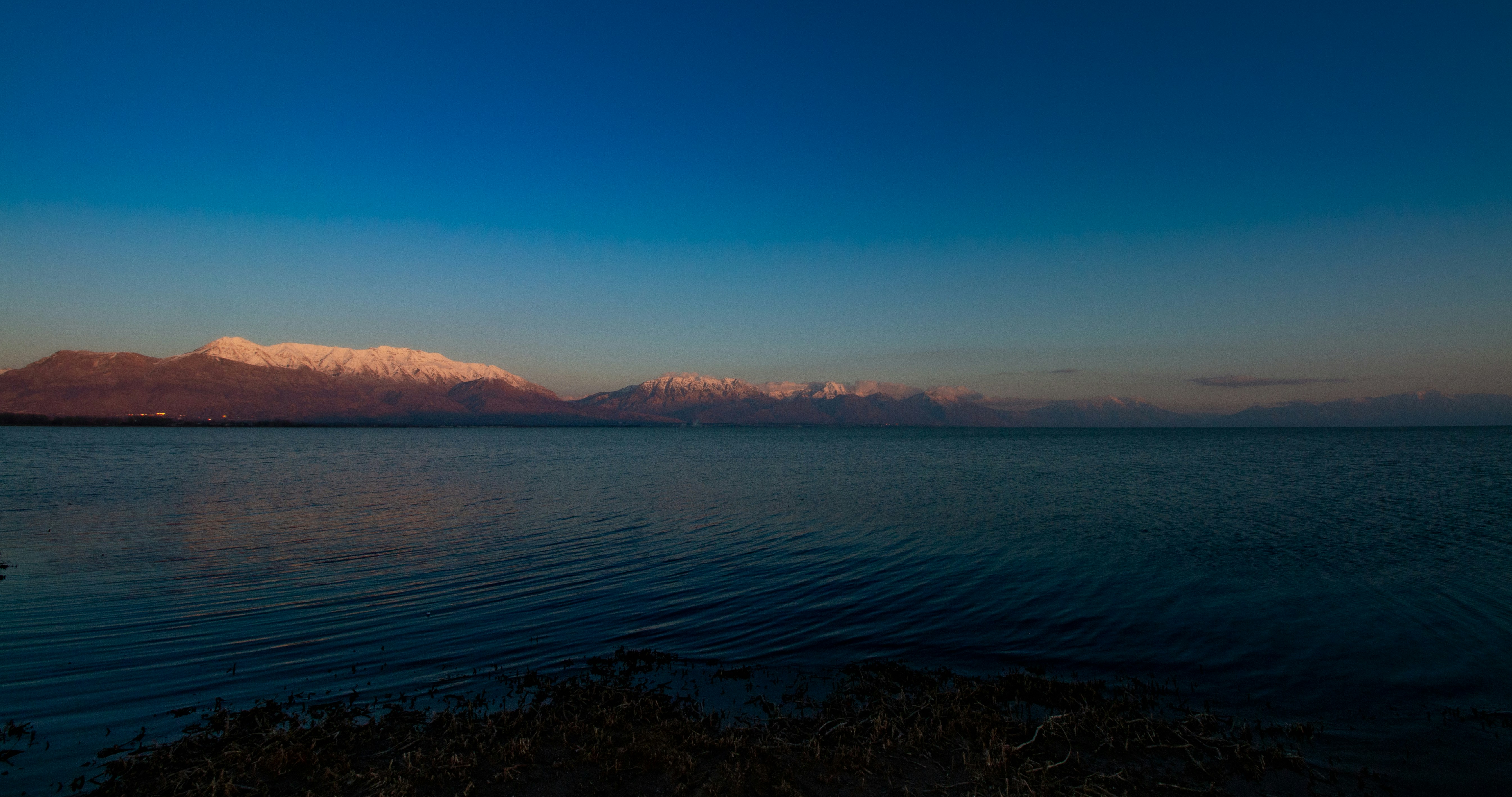 Photo by hadopelagic