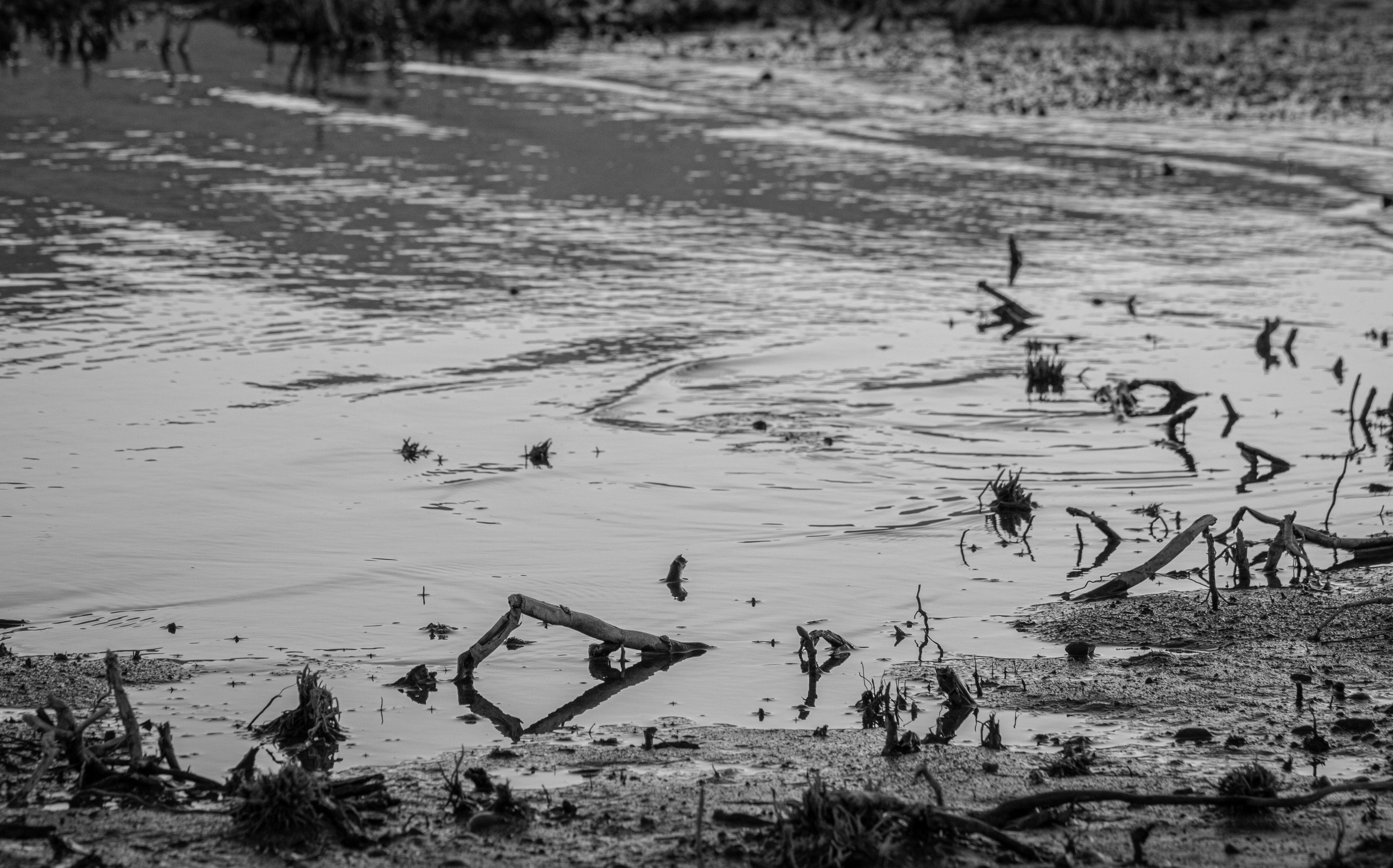 Photo by hadopelagic