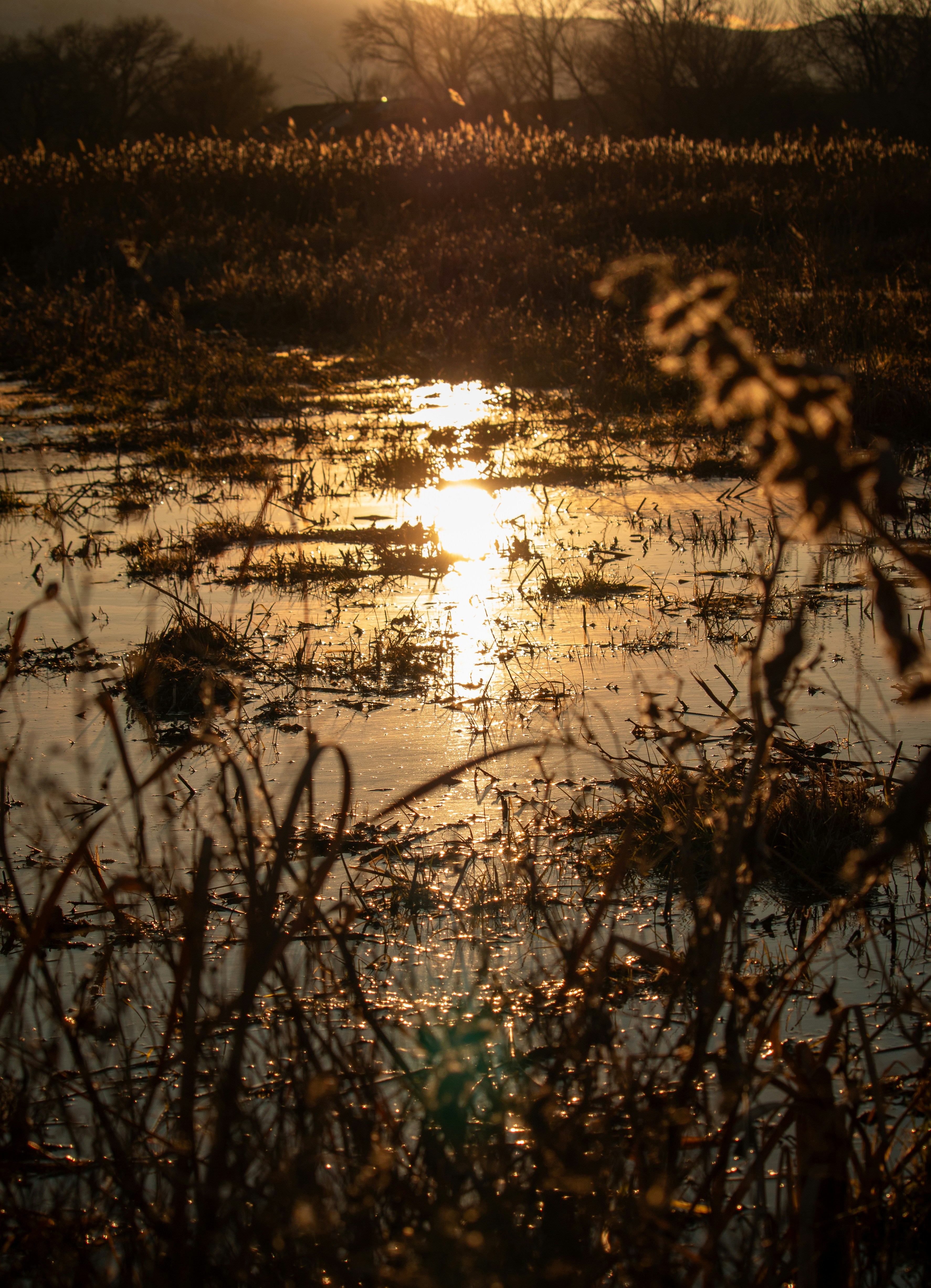 Photo by hadopelagic