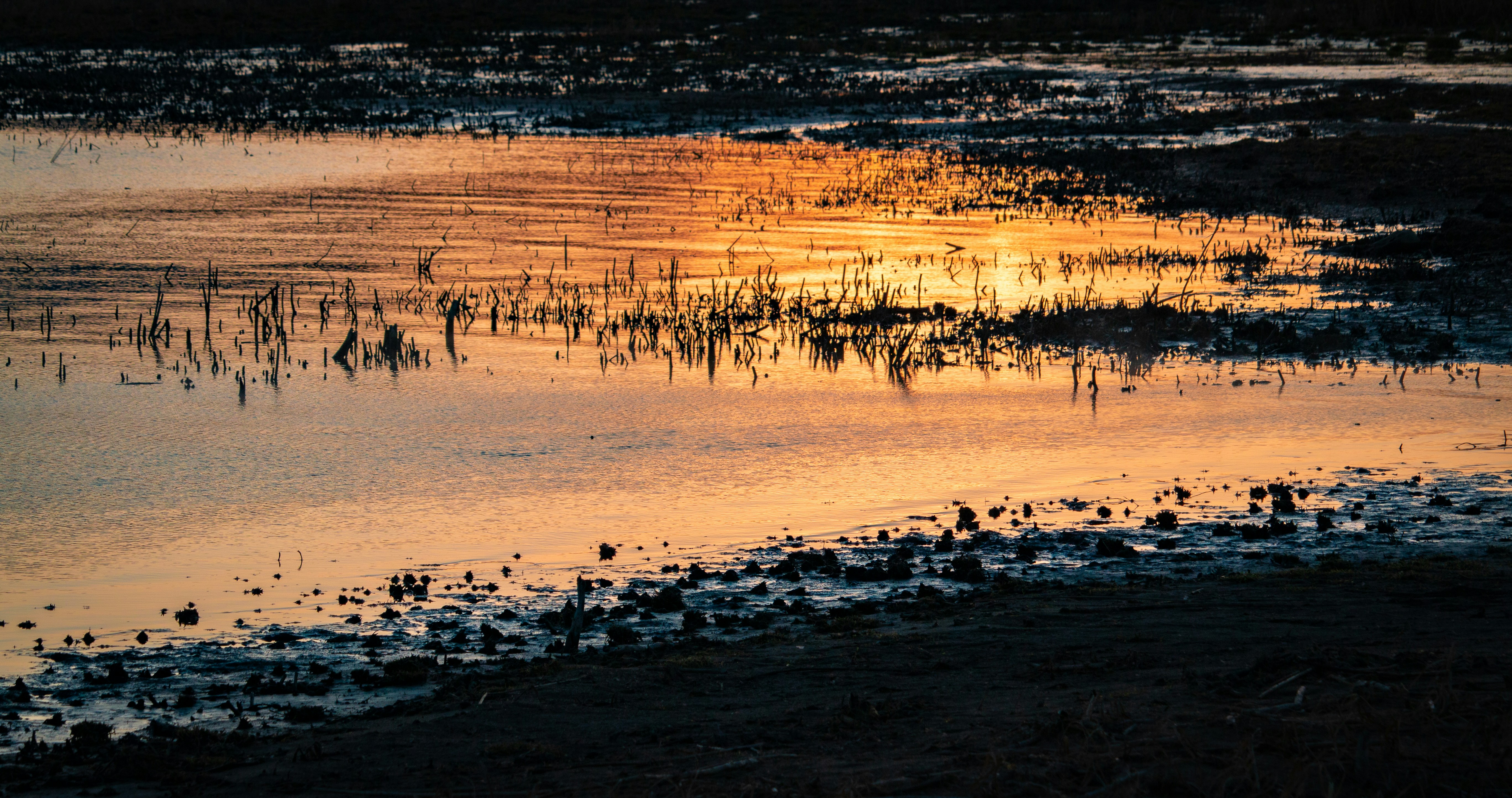 Photo by hadopelagic