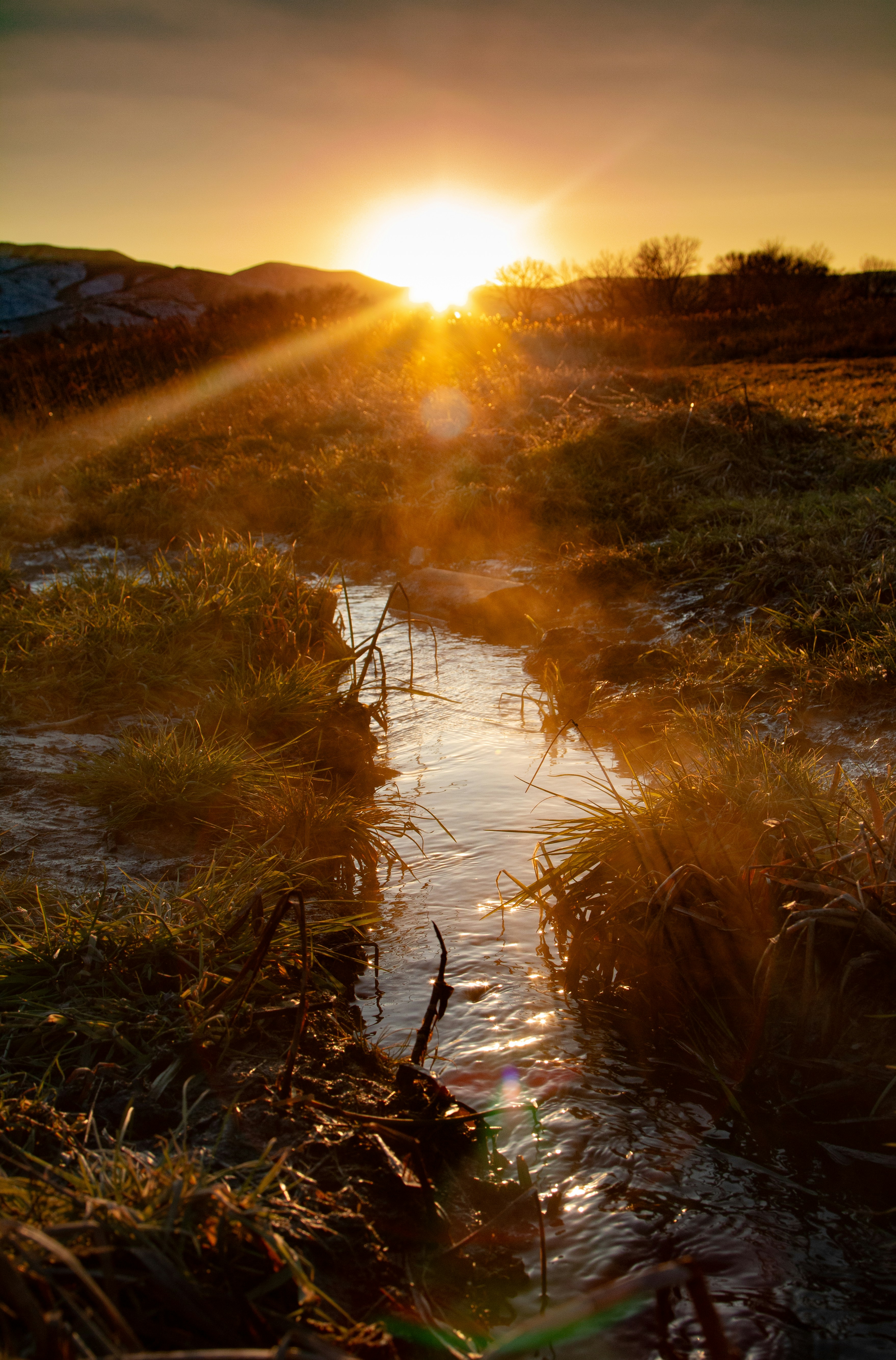 Photo by hadopelagic