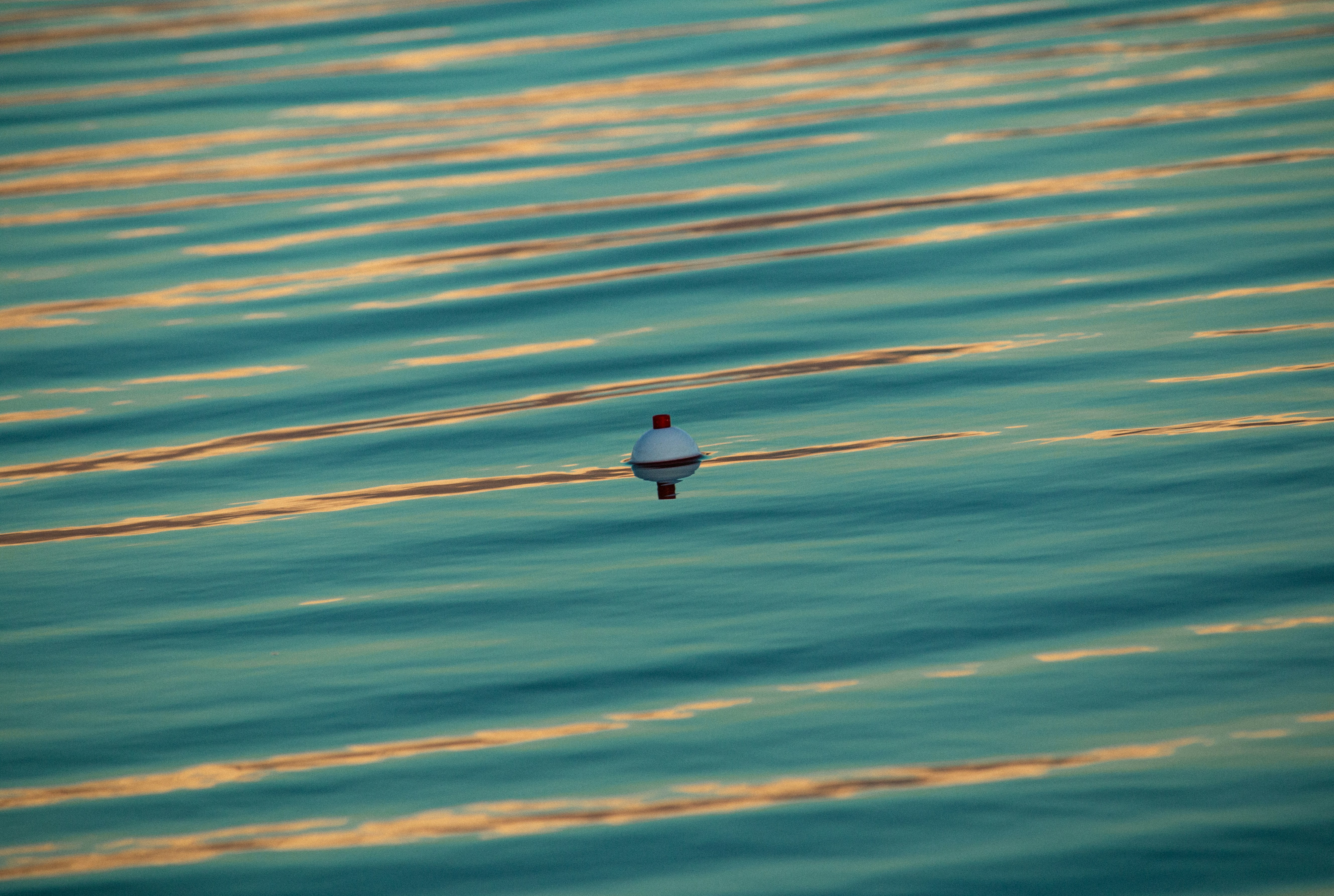 Photo by hadopelagic