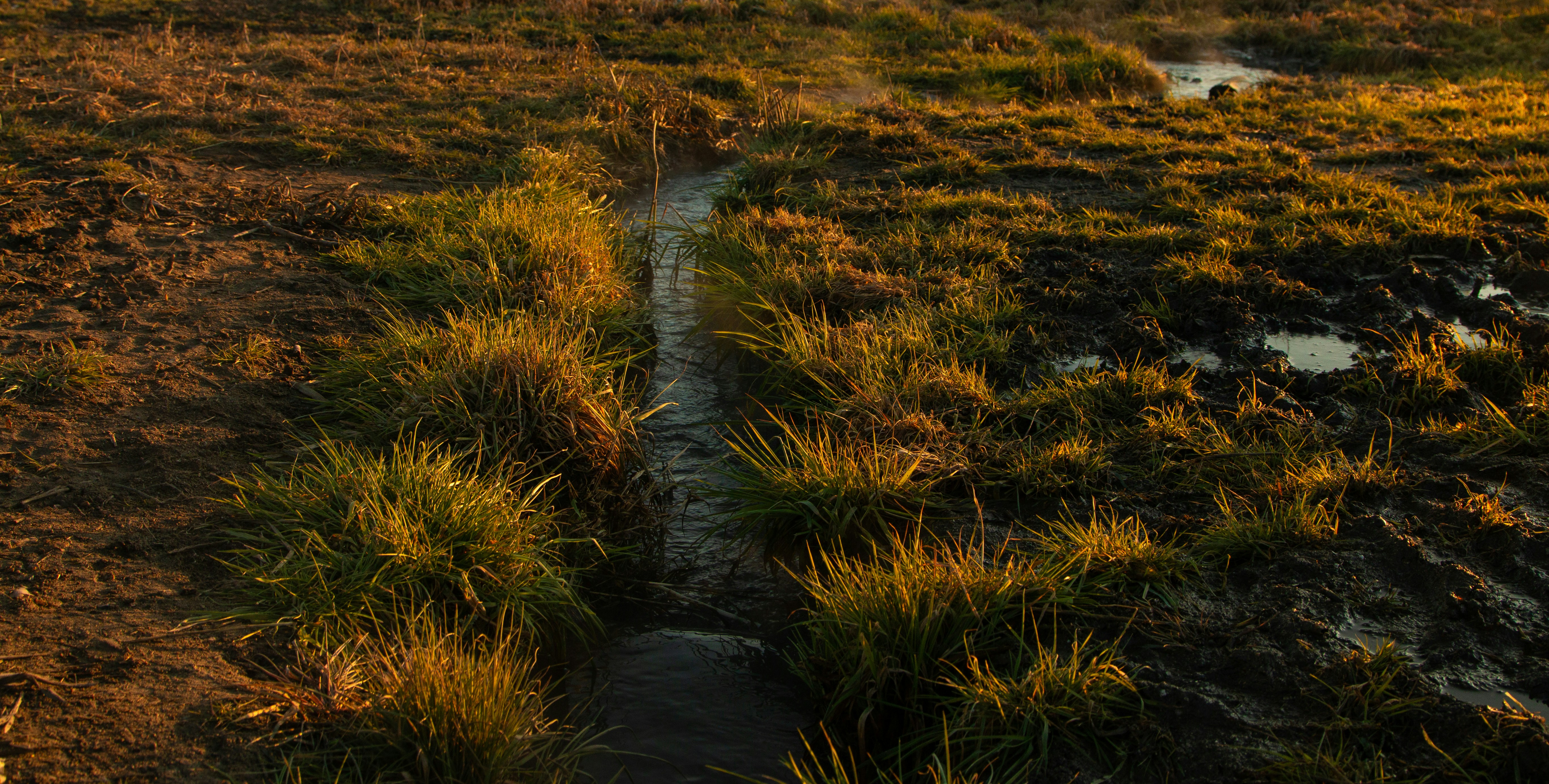 Photo by hadopelagic