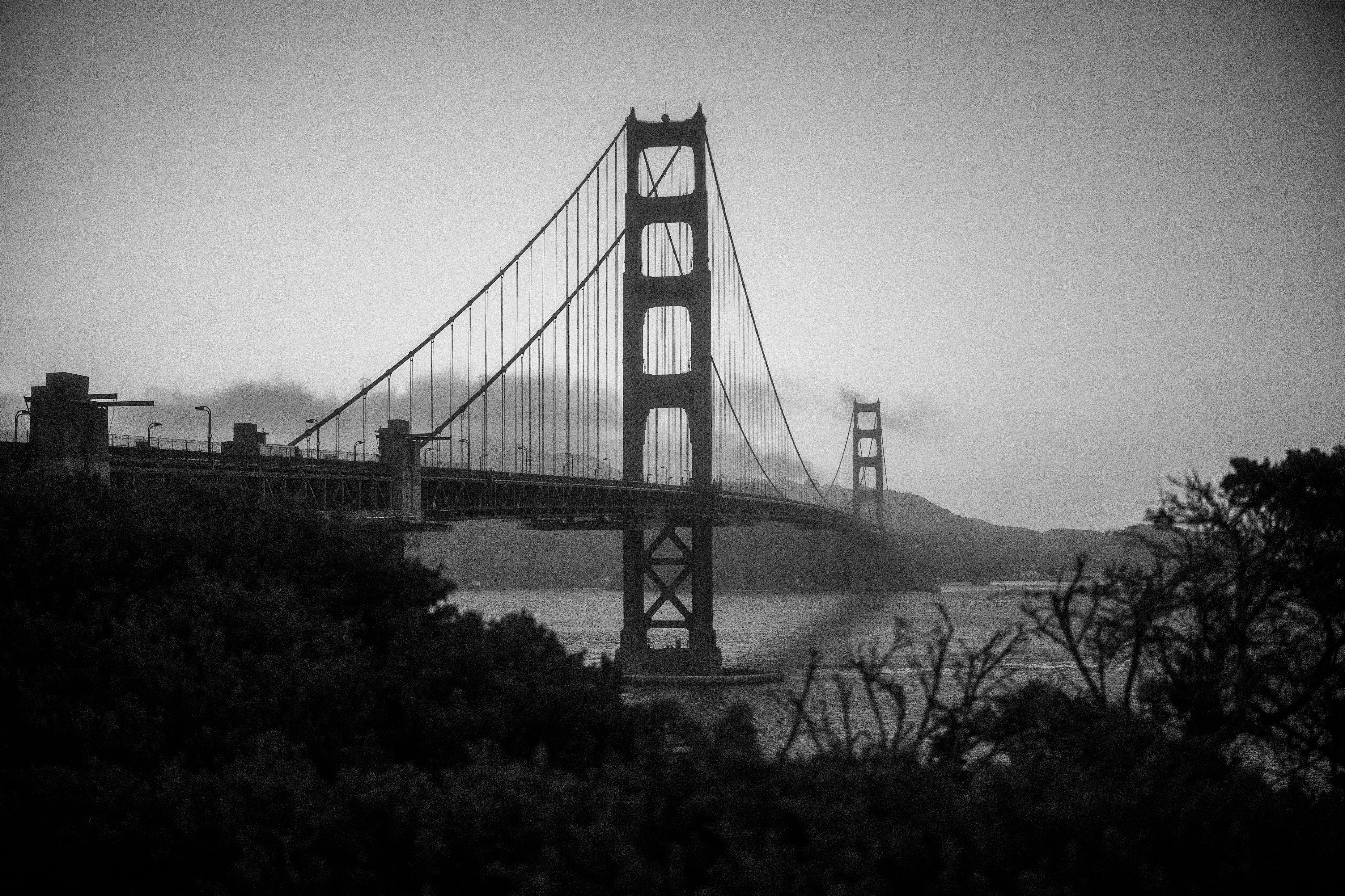 Photo by david_moorhouse