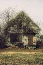 Overgrown abandoned house with graffiti on walls