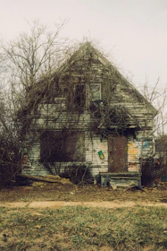 Overgrown abandoned house with graffiti on walls