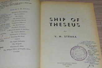 Title page of "ship of theseus" by v. m. straka.