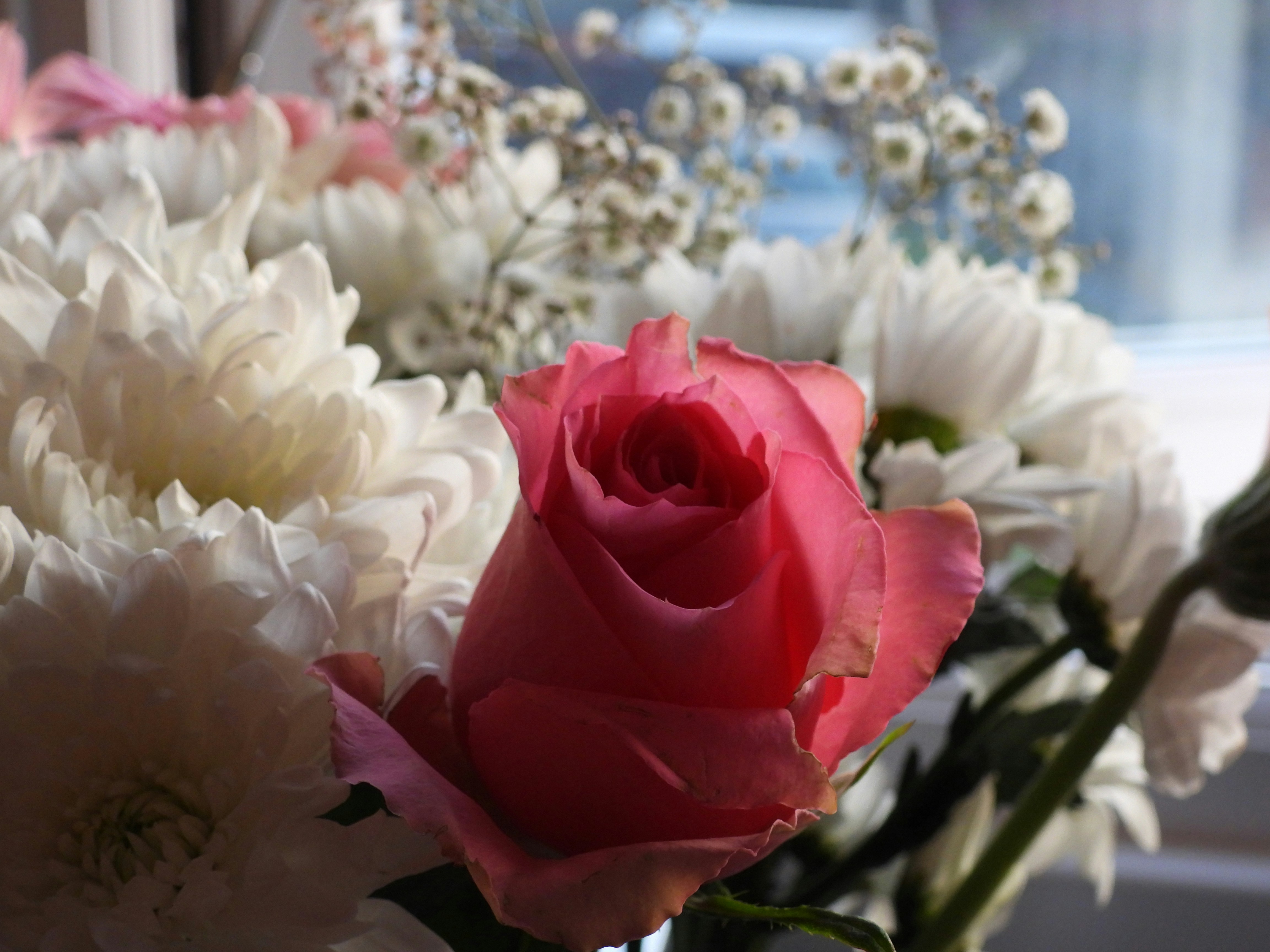 Photo by yayafreemandesigns