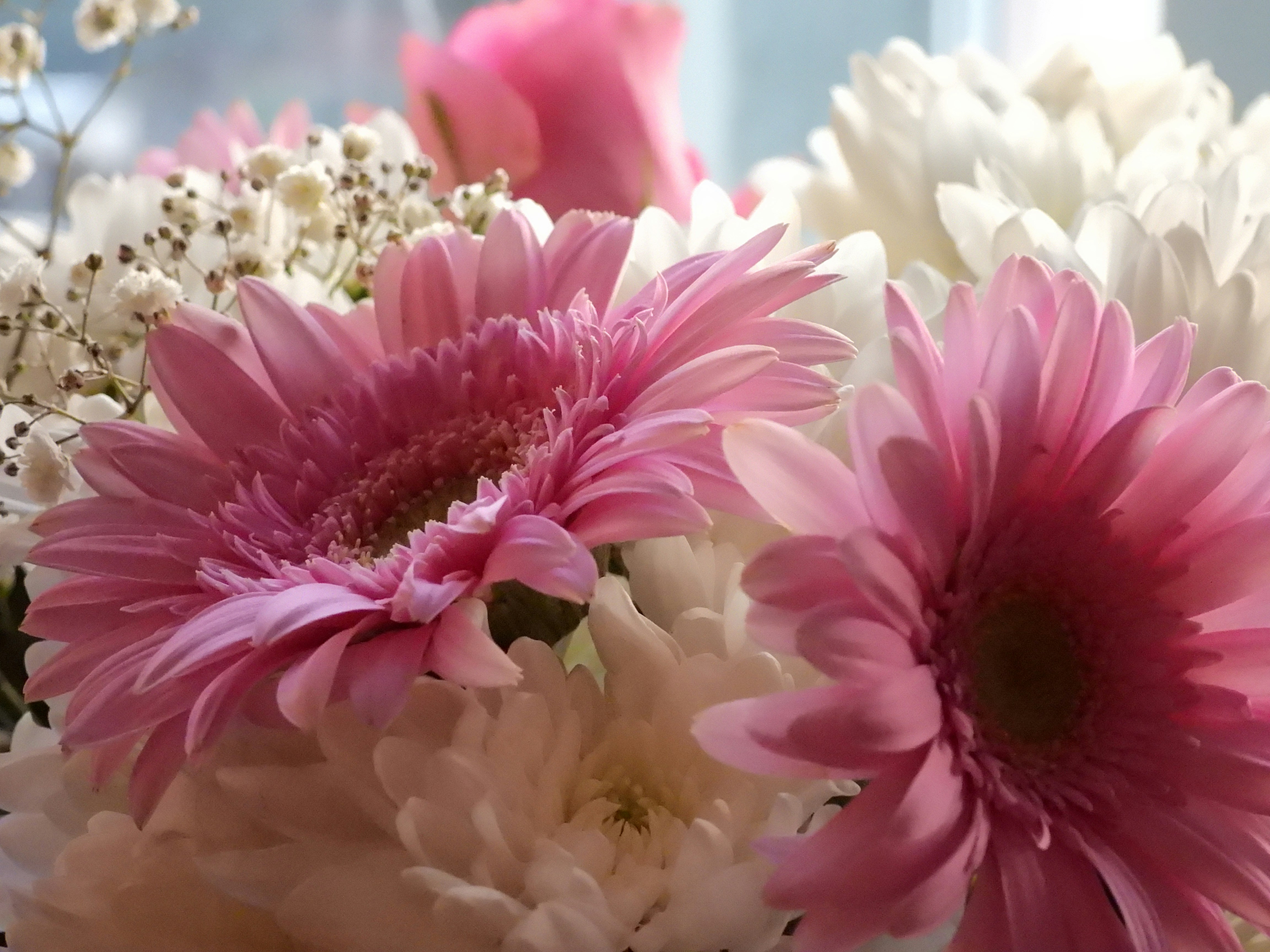 Photo by yayafreemandesigns