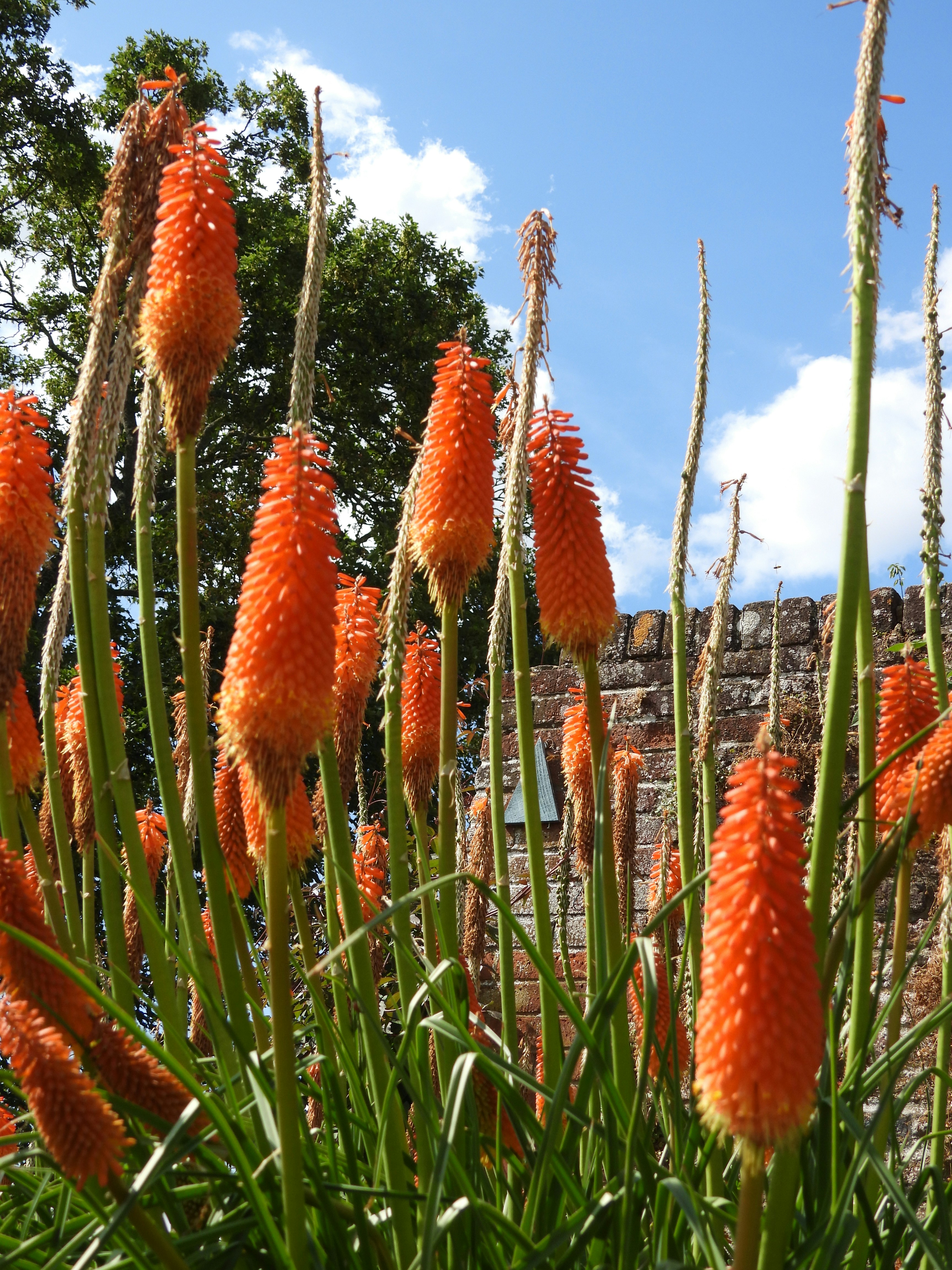 Photo by yayafreemandesigns