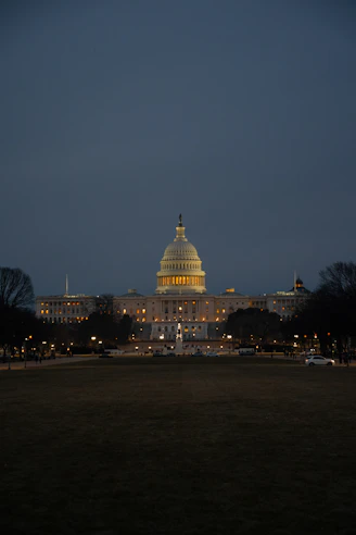 lansing ad agency helping local businesses grow with digital marketing. Lansing capitol building