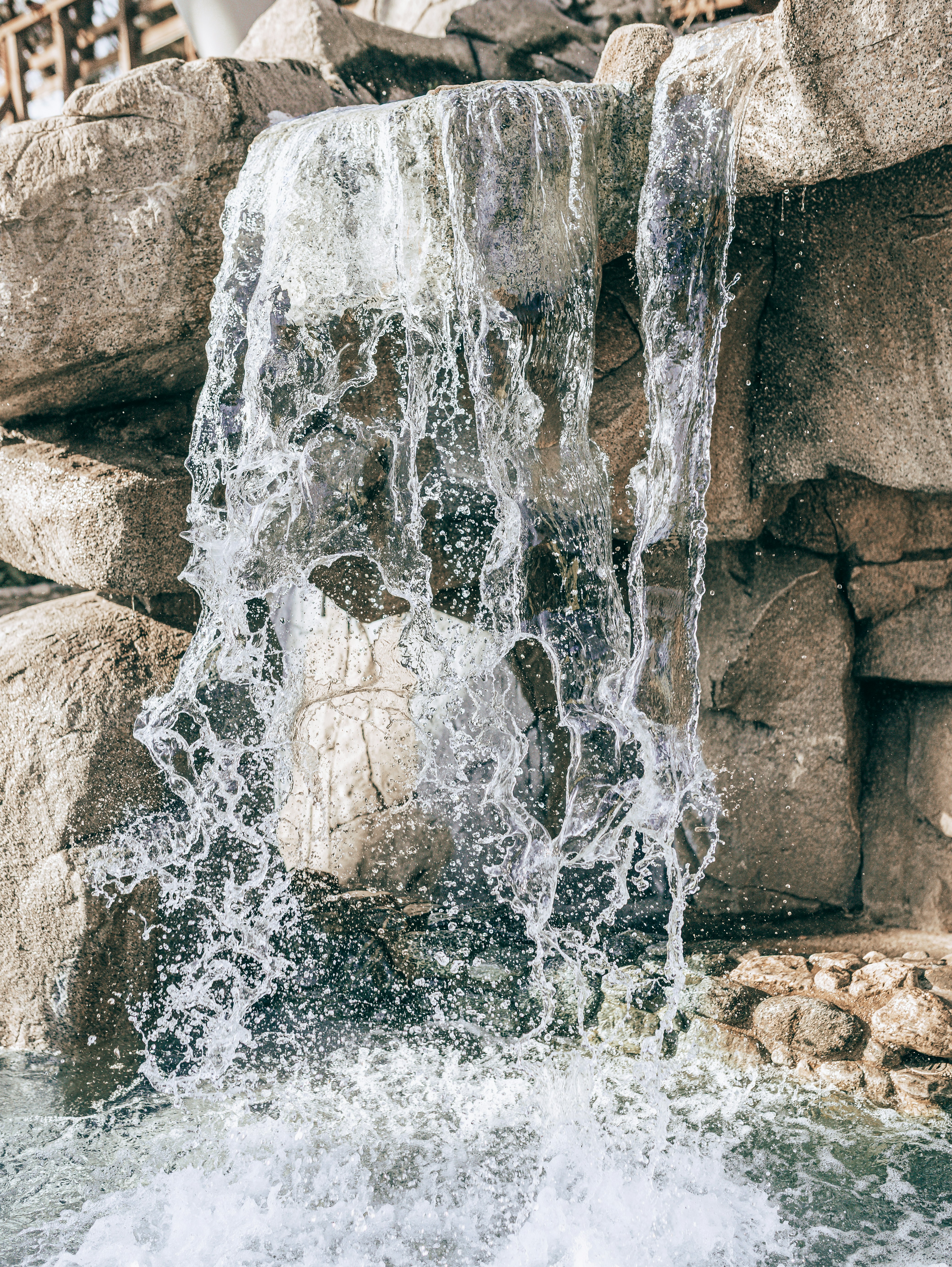 Photo by carmelalustrephotography