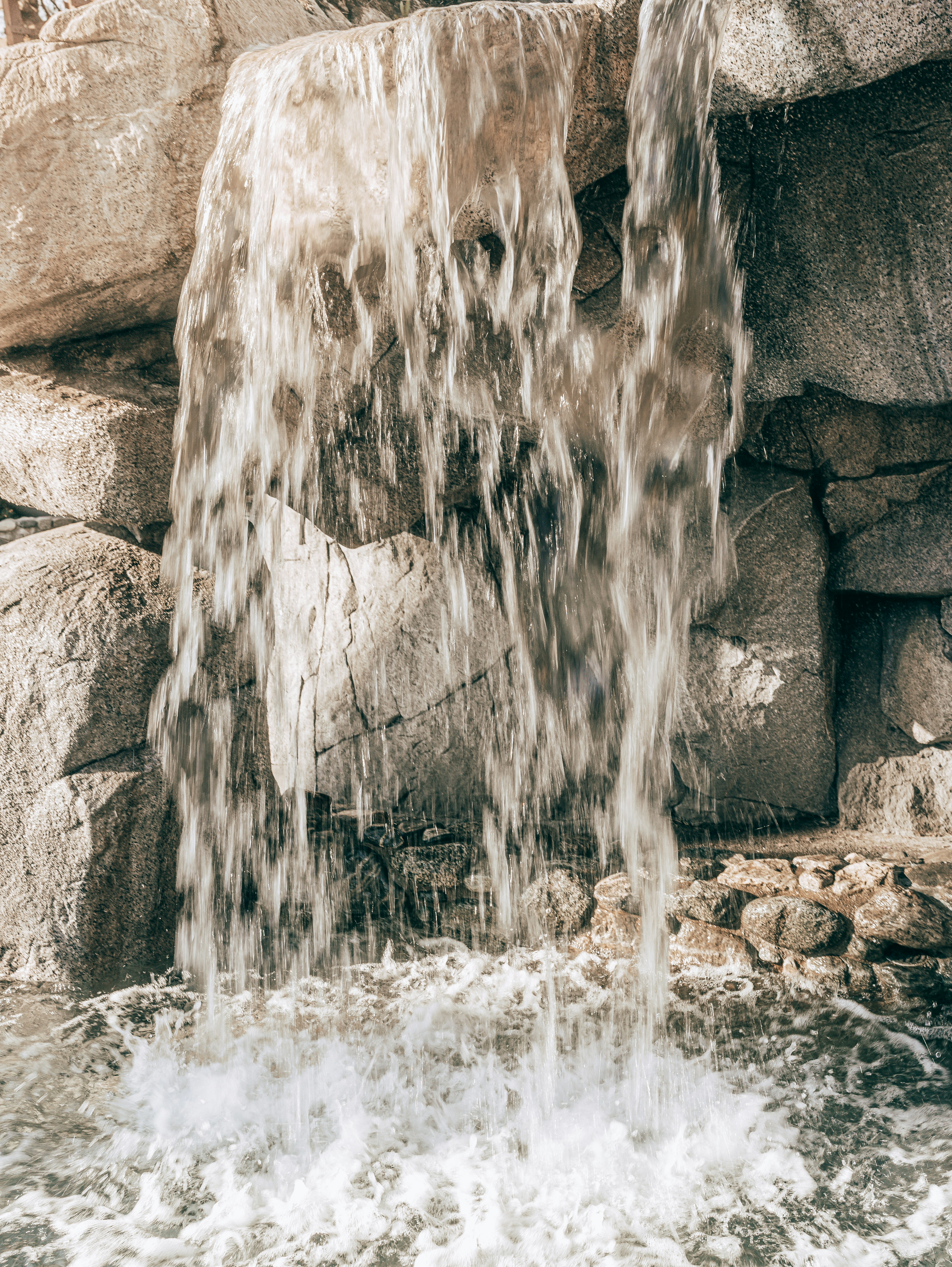 Photo by carmelalustrephotography