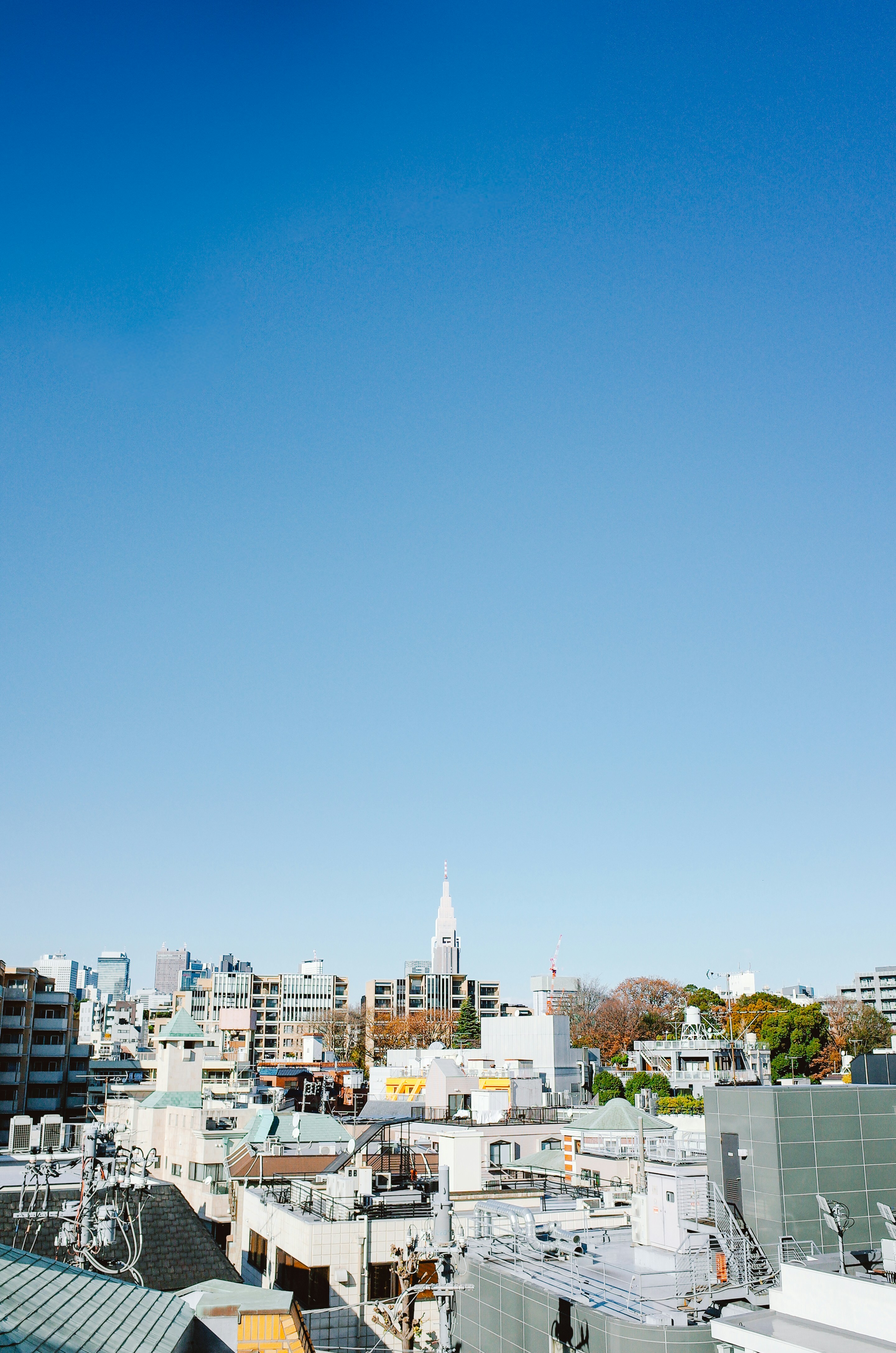 Photo by dokae