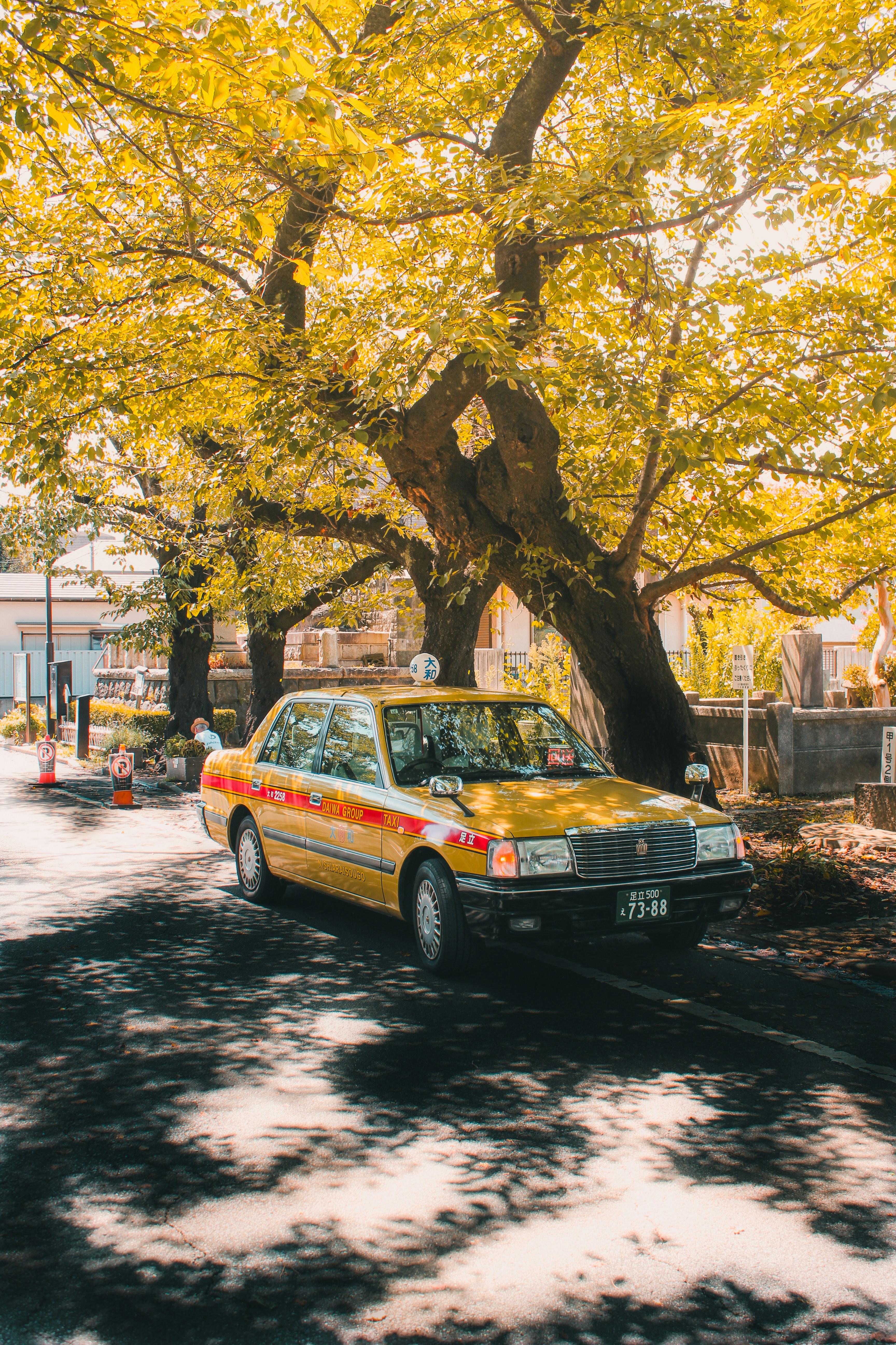 Yellow taxi parked under a large tree