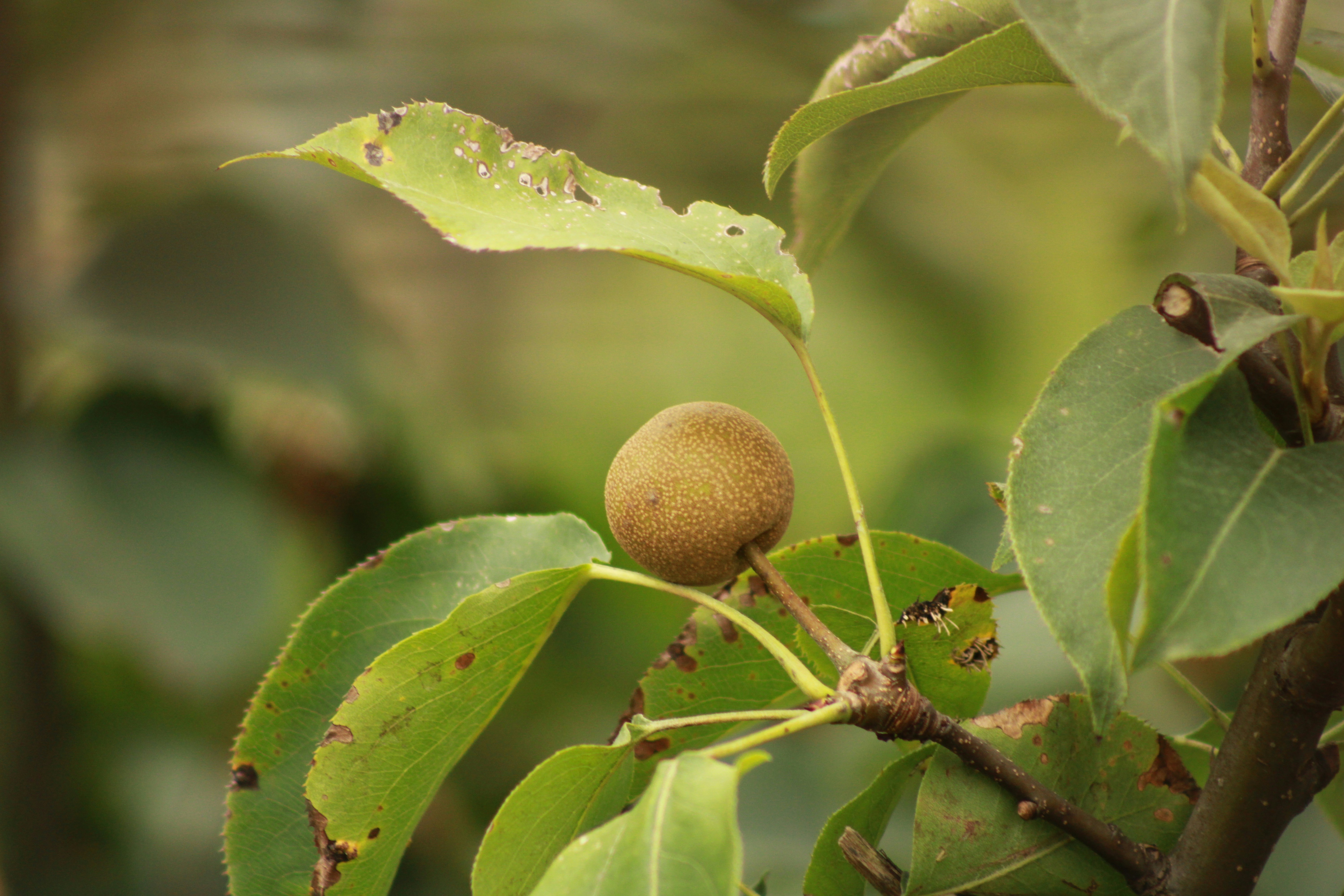 Photo by yenniferfilms