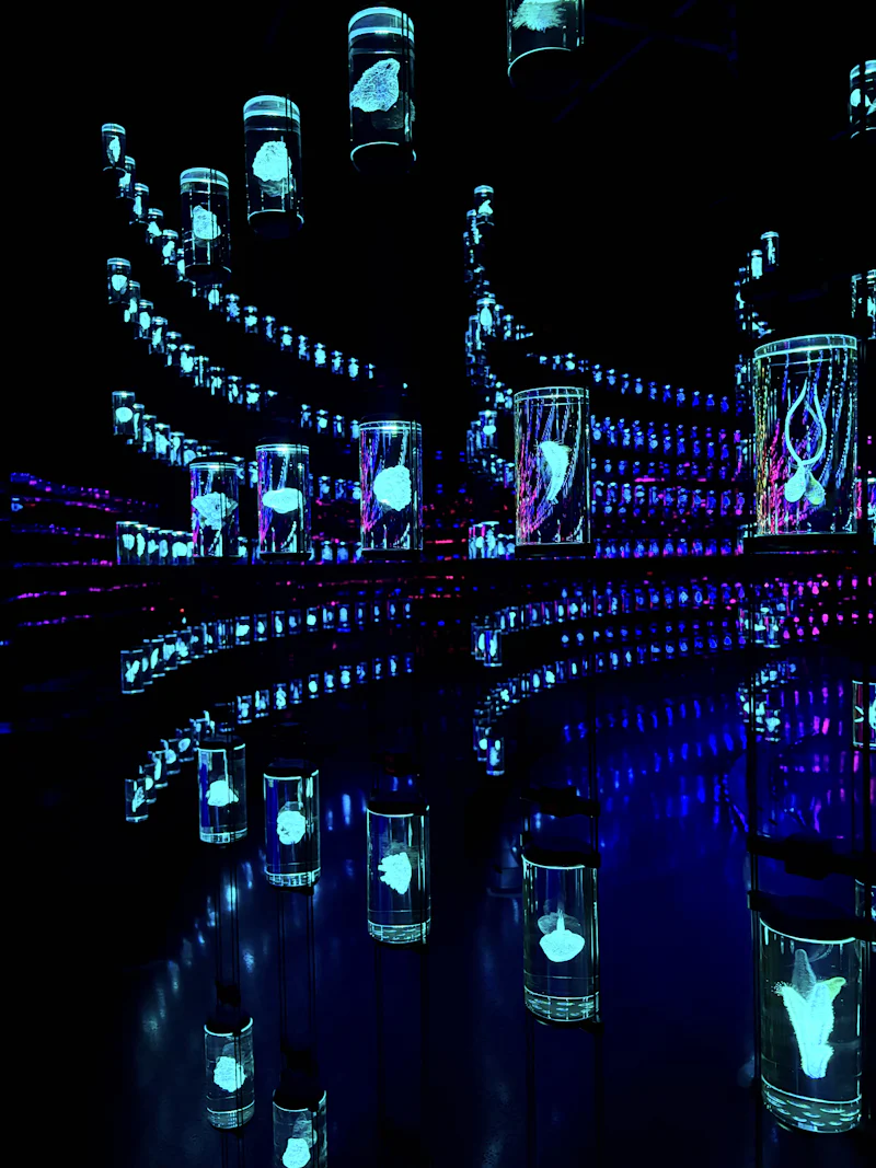 art installation at the museum of future, dubai, featuring glowing suspended forms and reflective surfaces that explore themes of technology, innovation, and the future