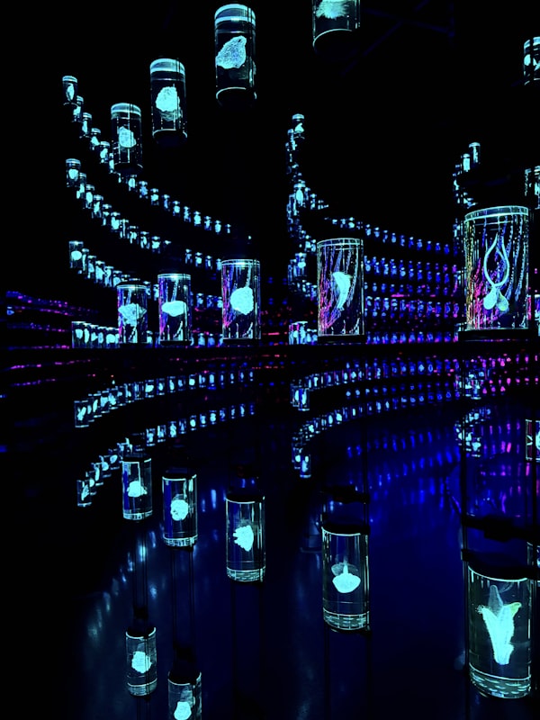 columns of glowing jellyfish tanks in a dark room