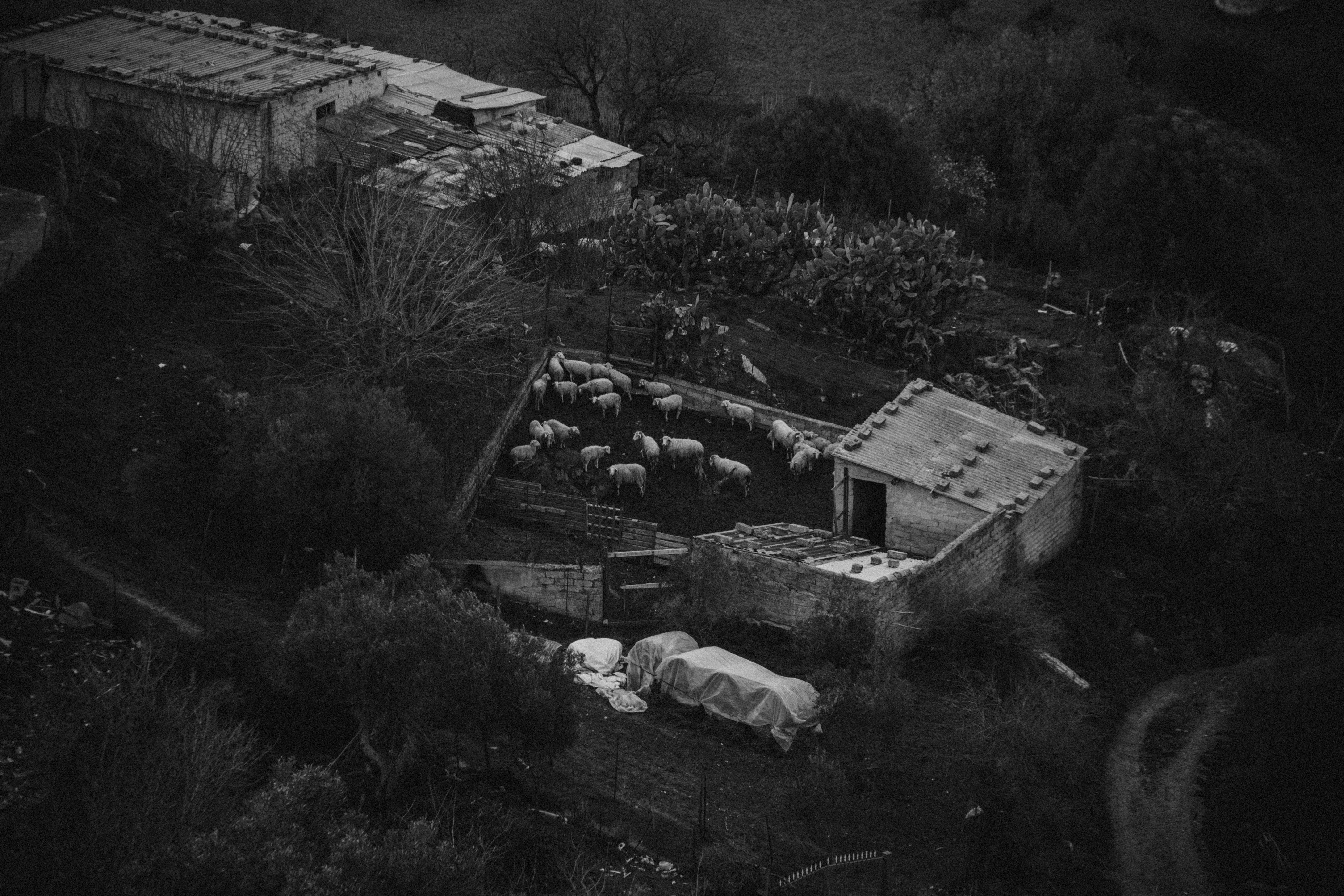 Photo by mrpeppeocchipinti