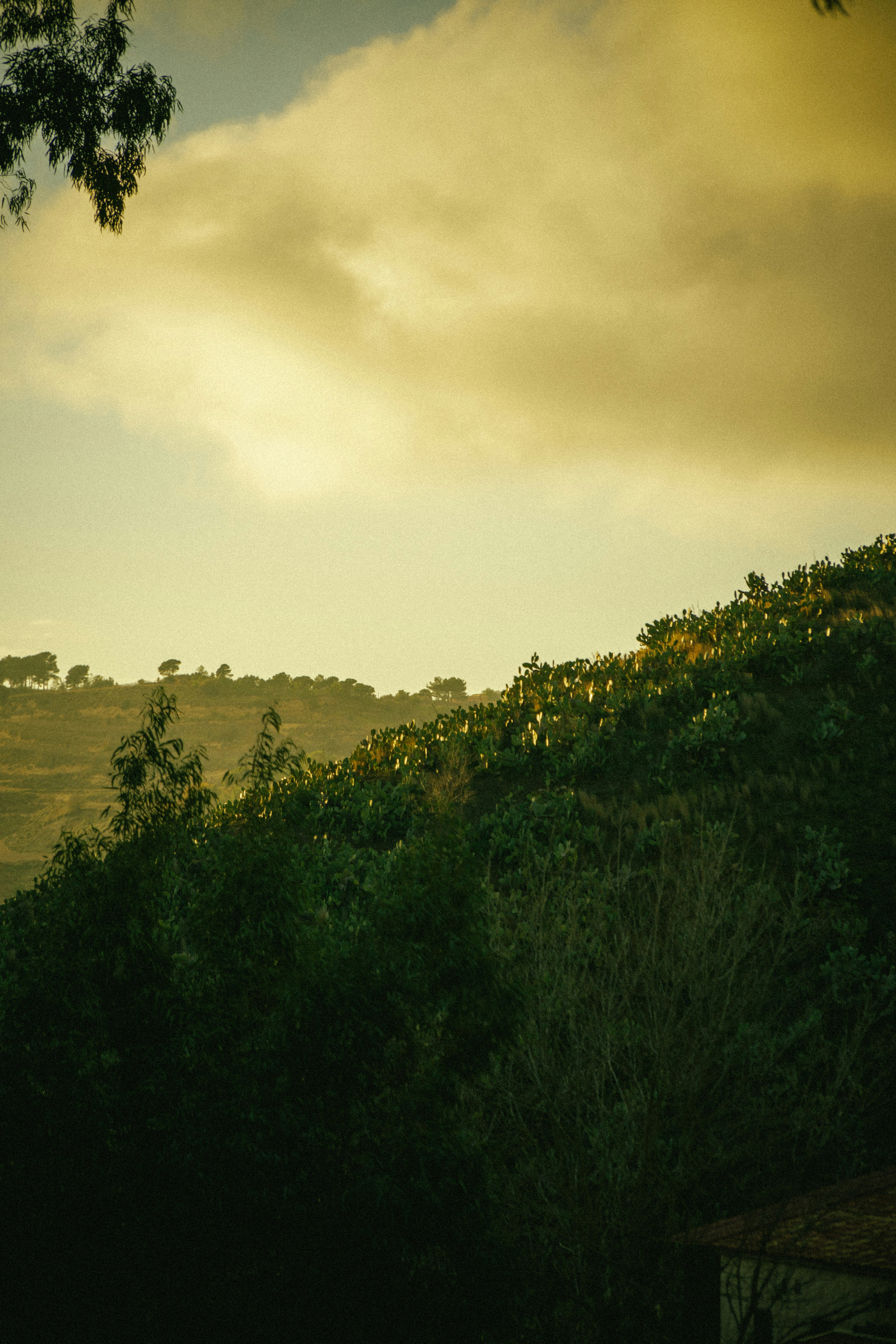 Photo by mrpeppeocchipinti