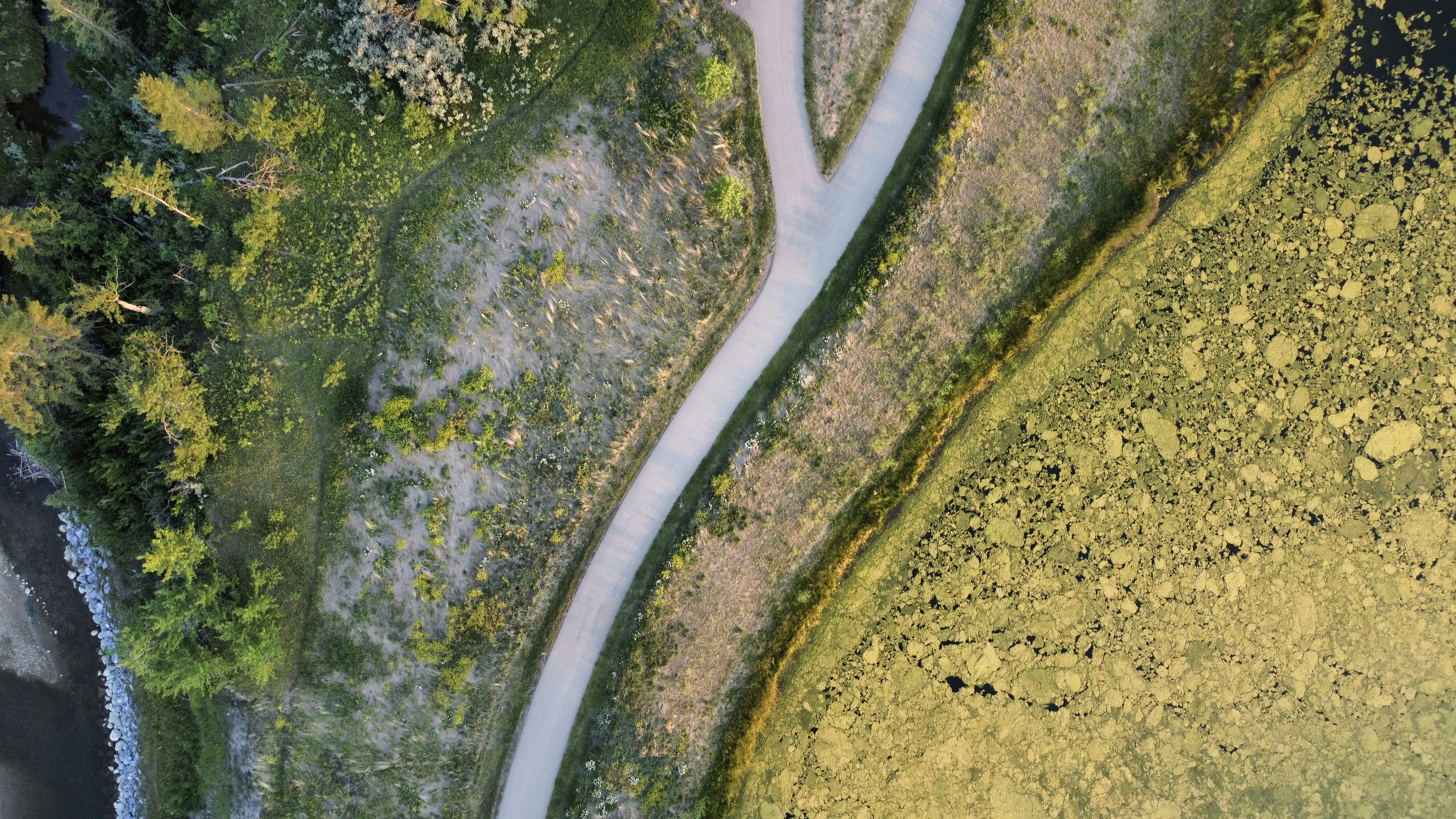 Photo by danielmiksha