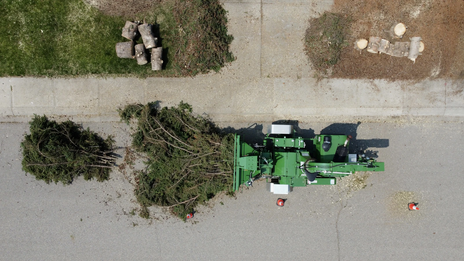 48-Inch Stump Ground for New Sod