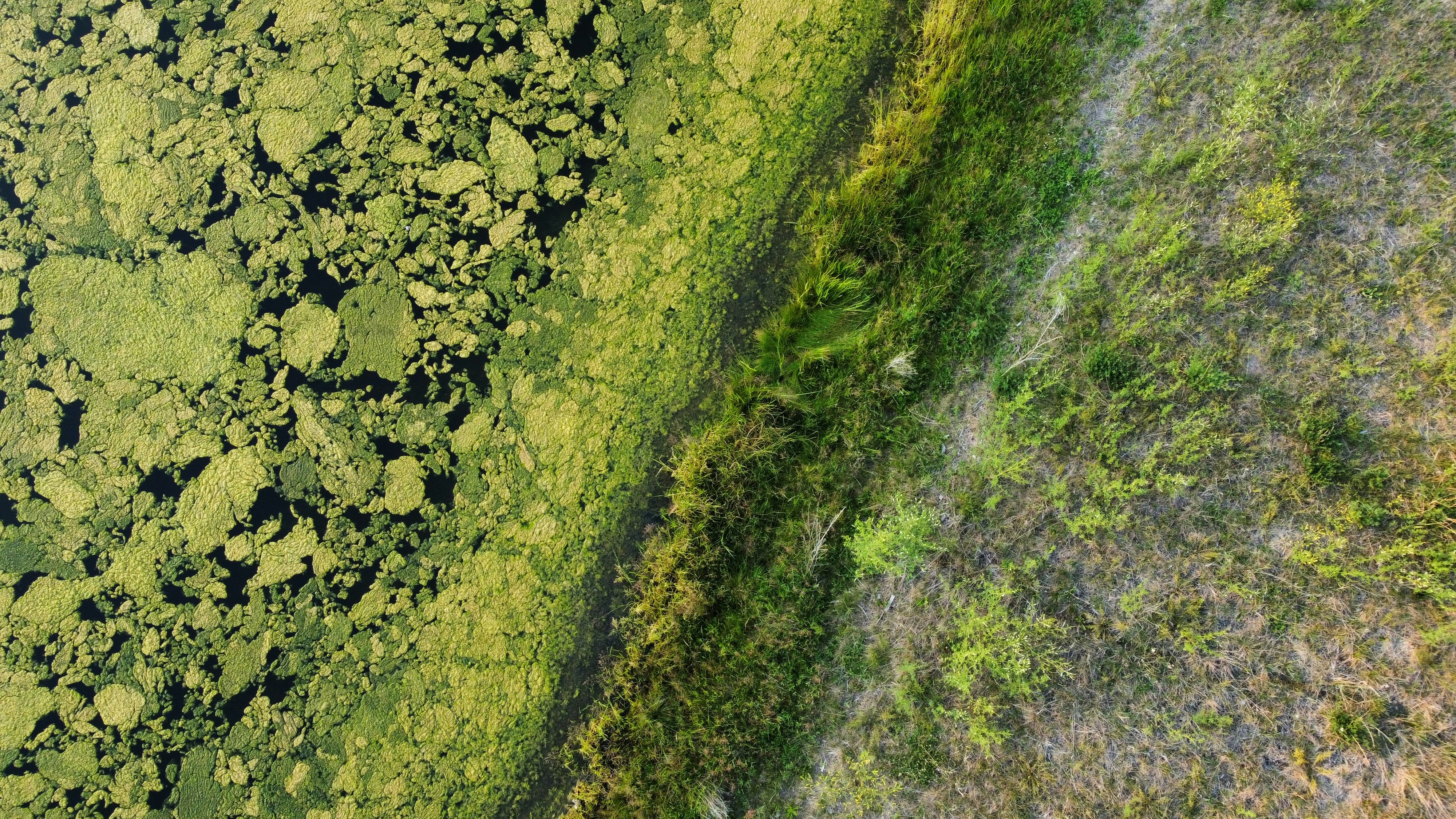 Photo by danielmiksha