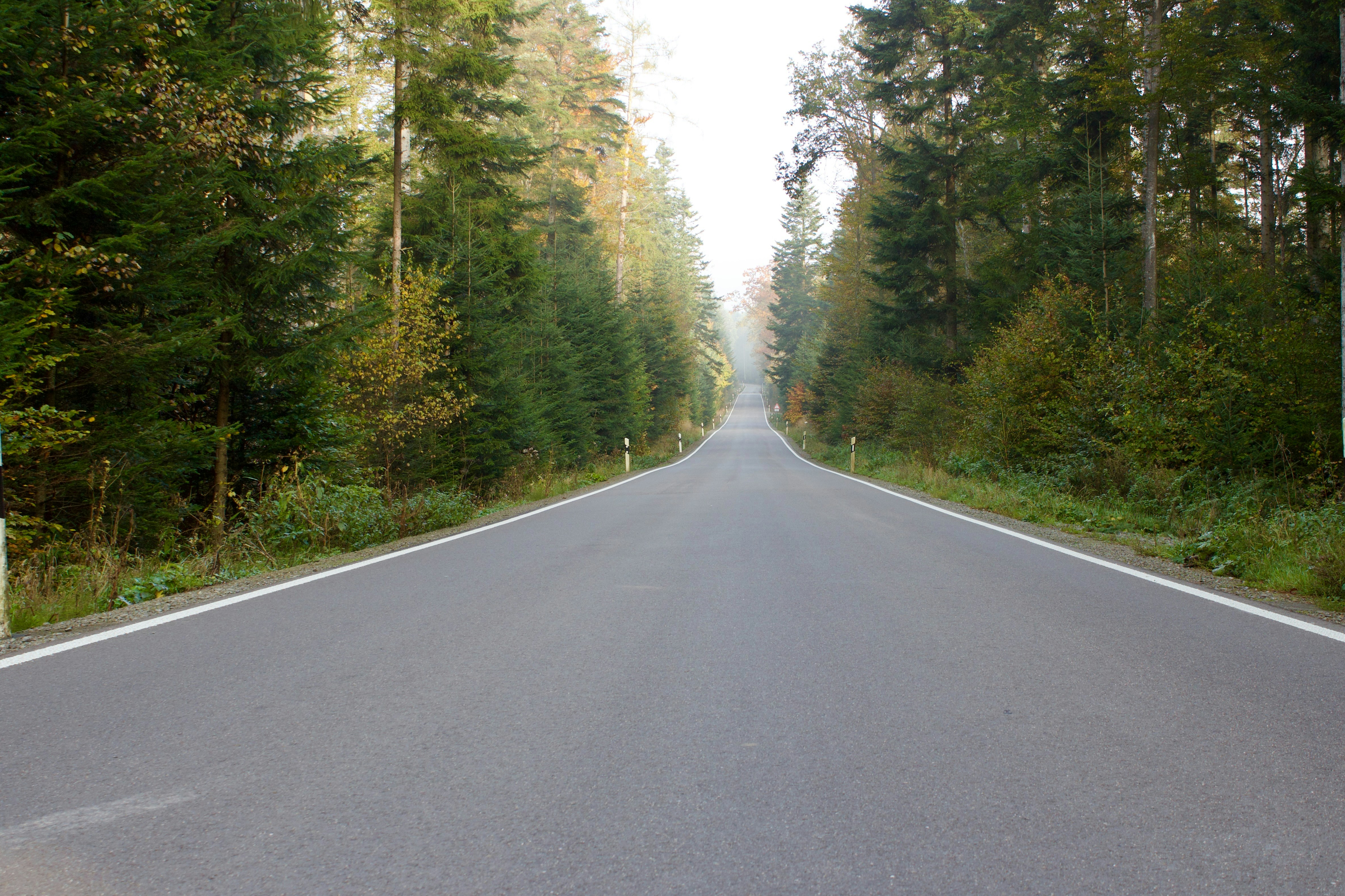 Photo by annie_kramer74