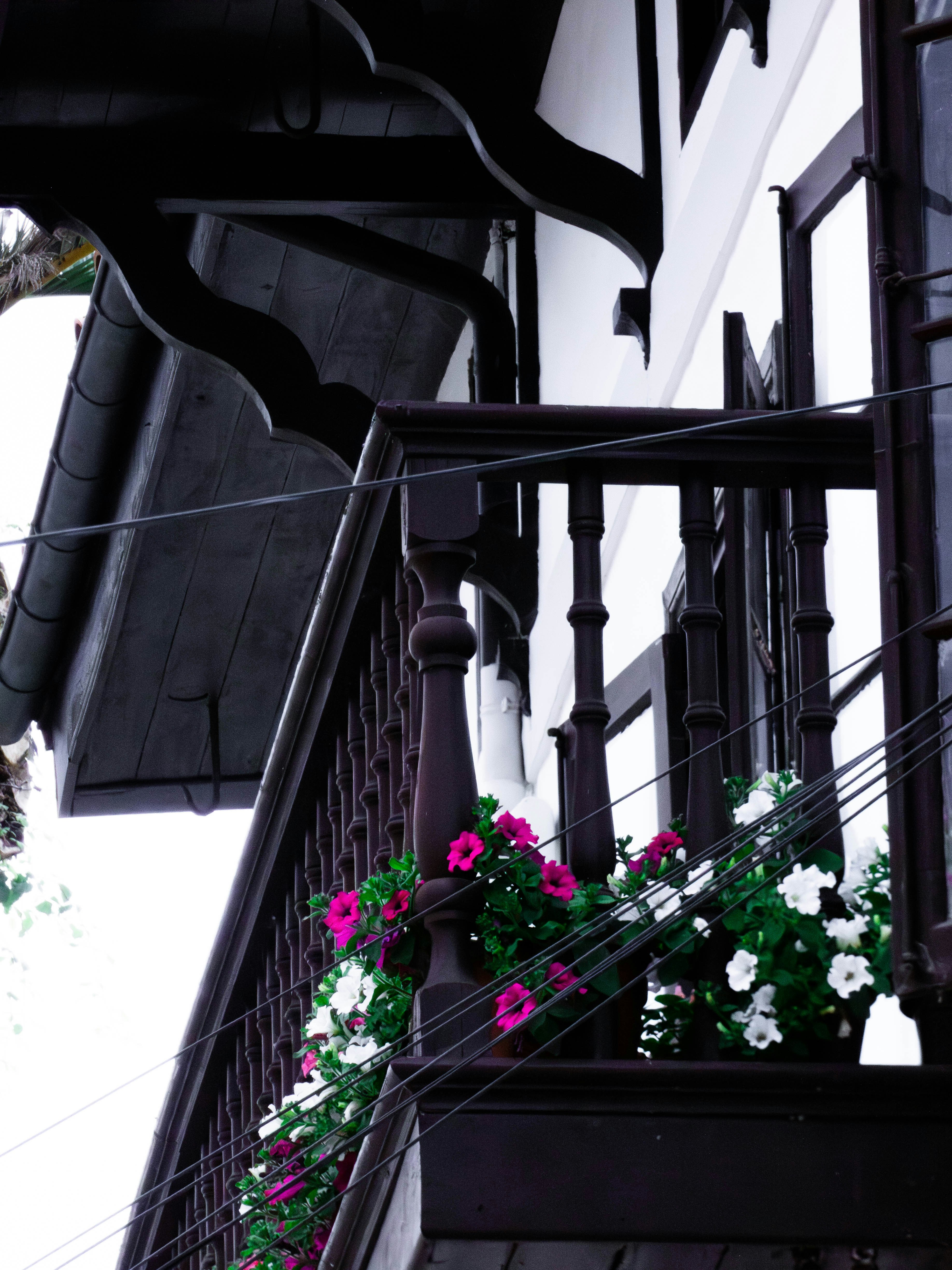 Wooden balcony railing with vibrant pink and white flowers.