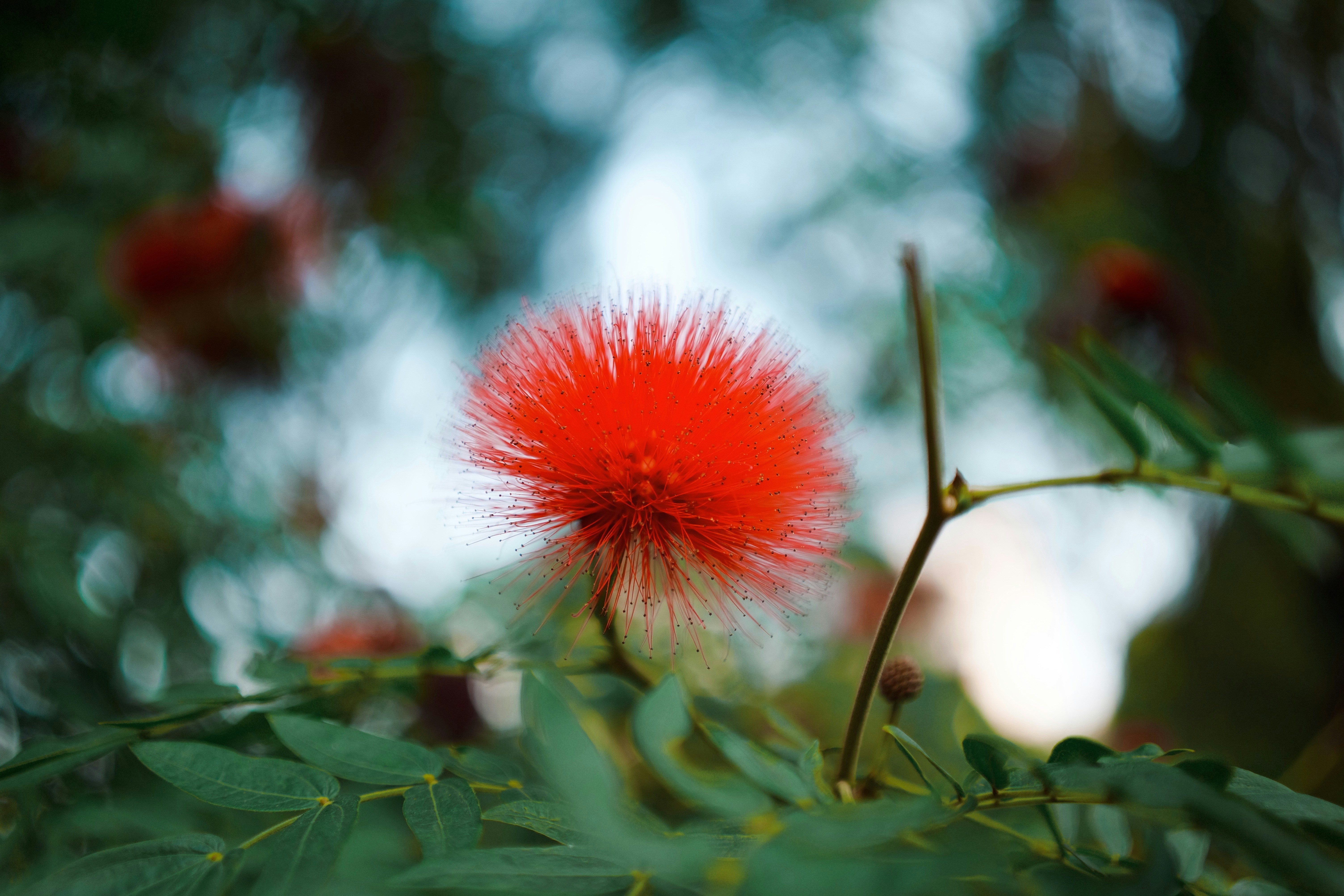 Photo by bunnystudio