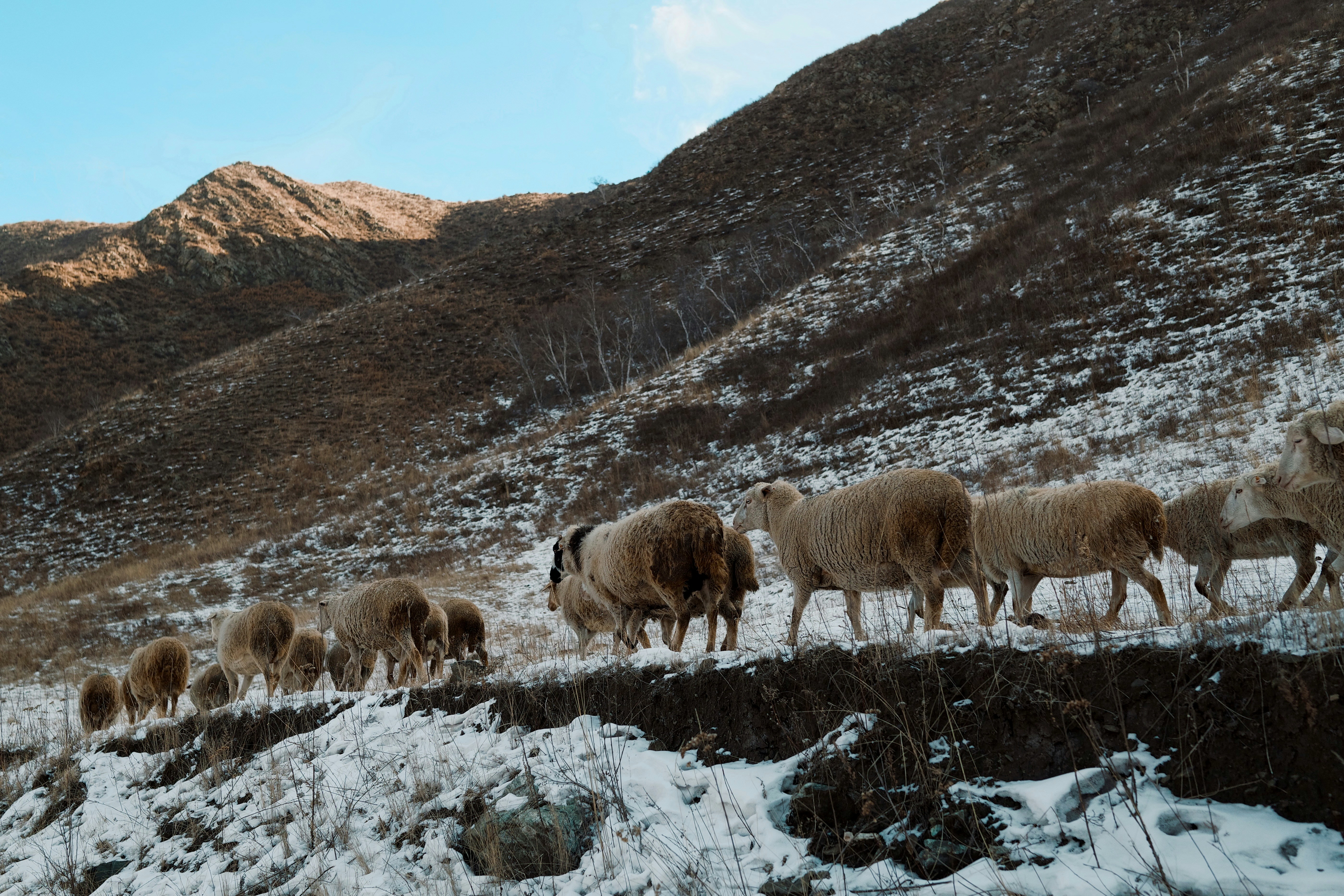 Photo by bunnystudio