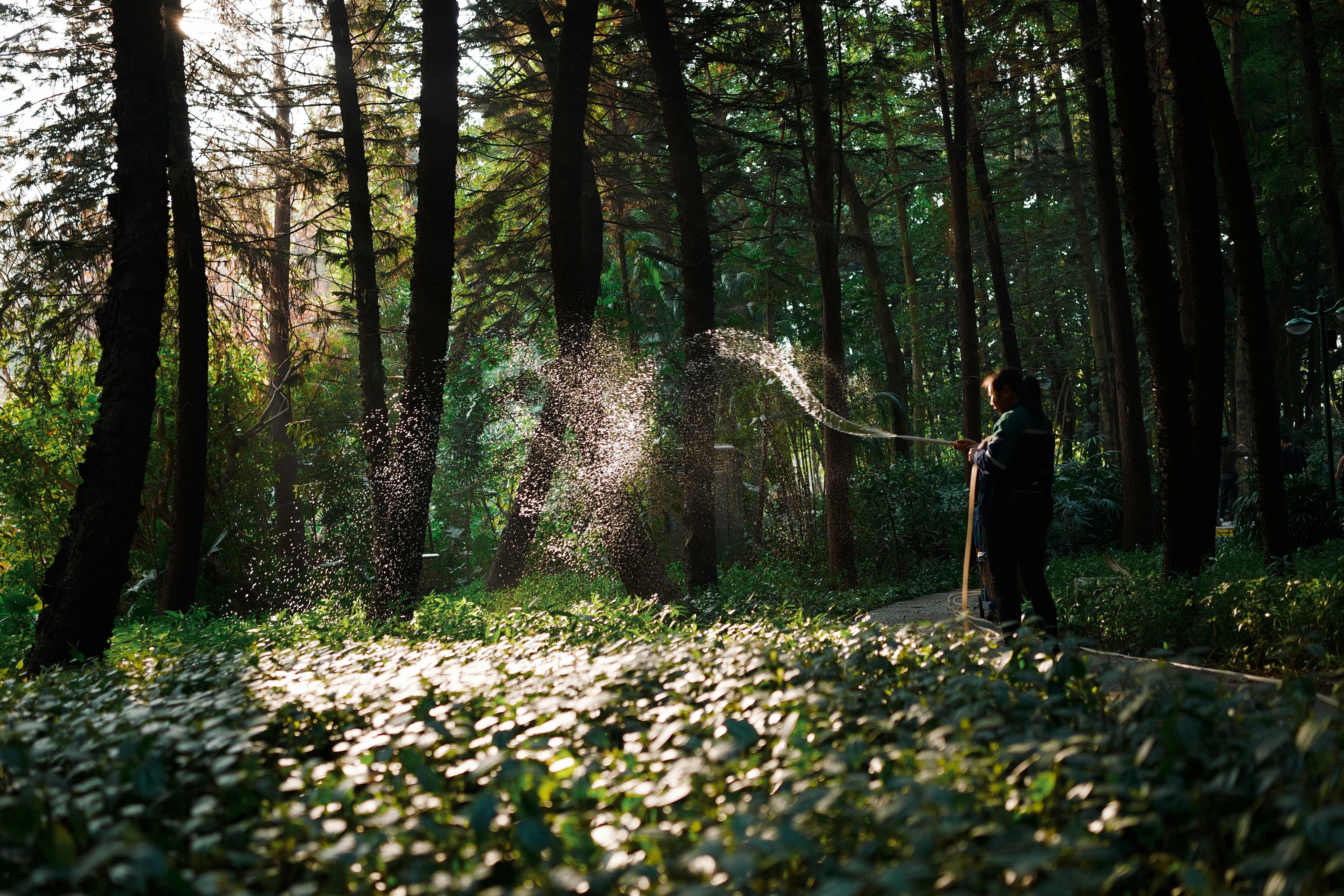 Photo by bunnystudio