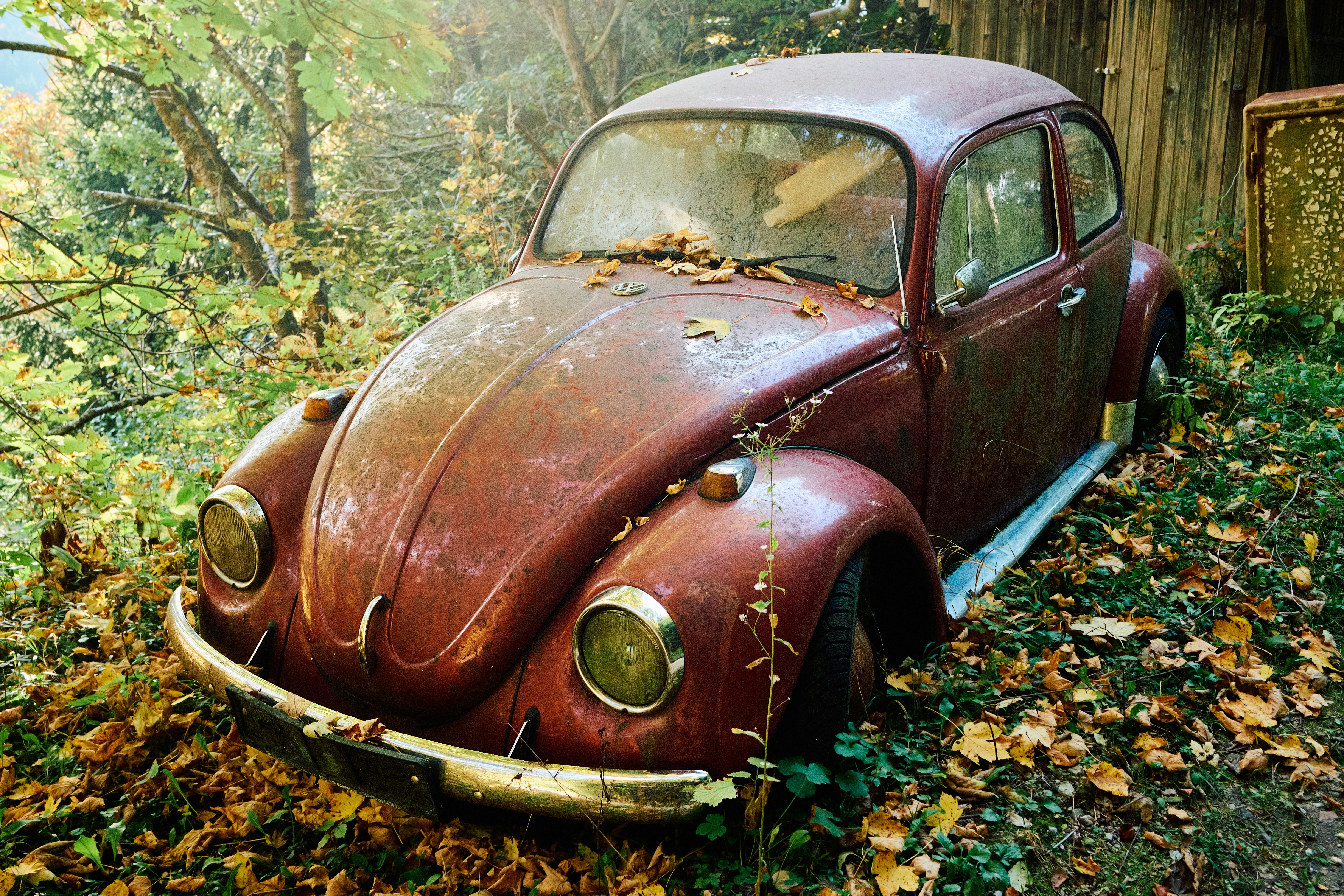 photo-1769344361660-adf7ee7c15c9?ixid=M3