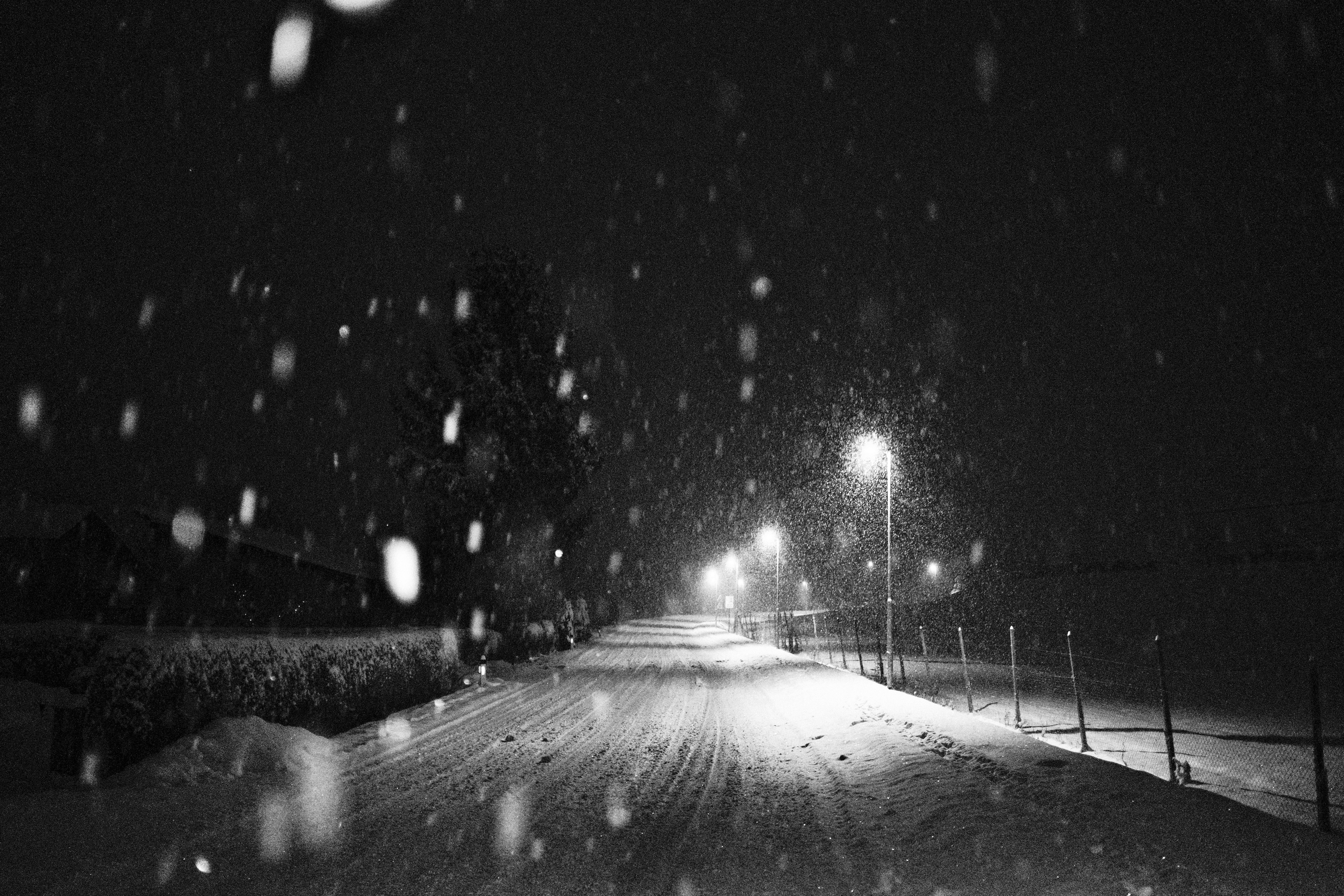 Photo by kristjankotar