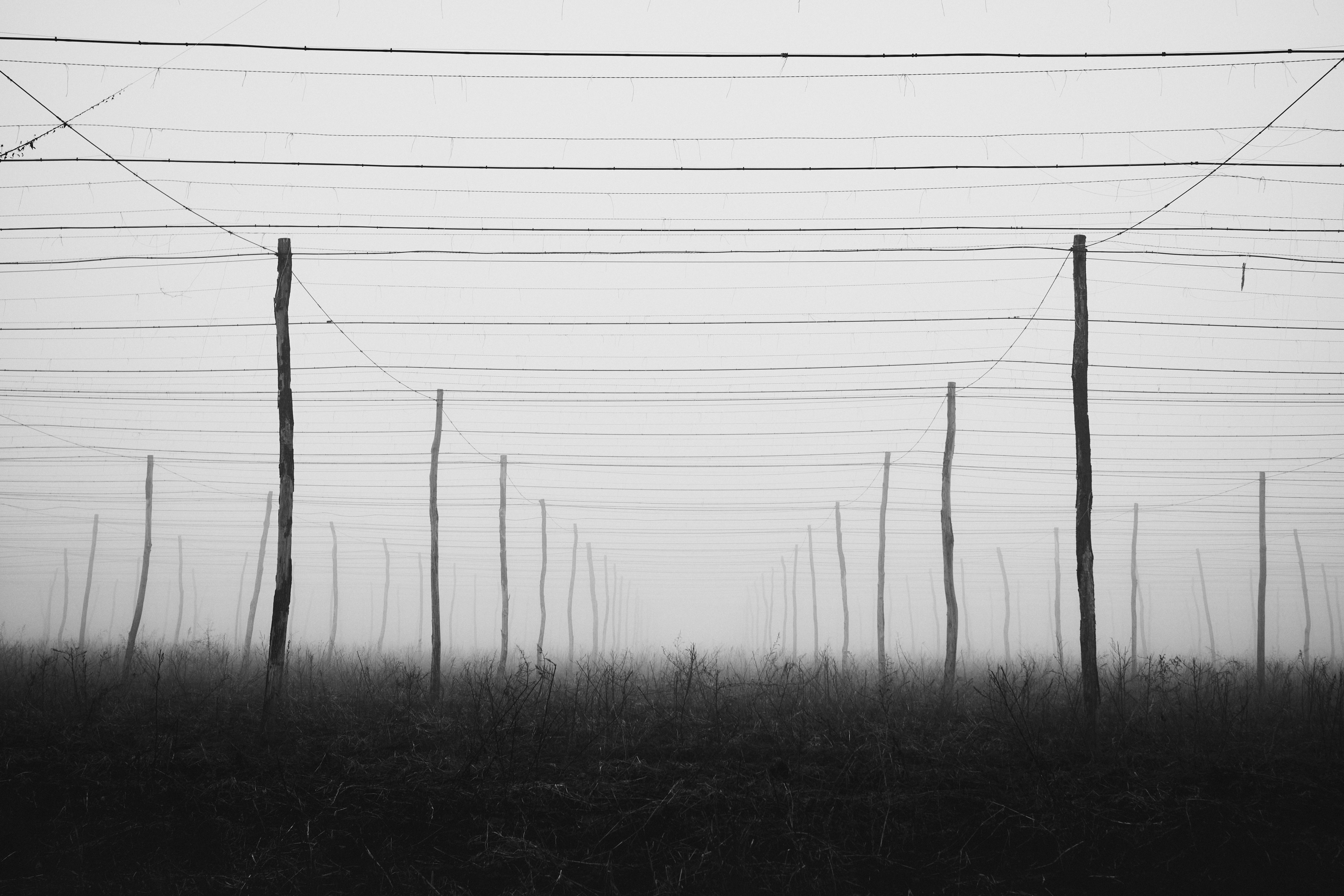 Photo by kristjankotar