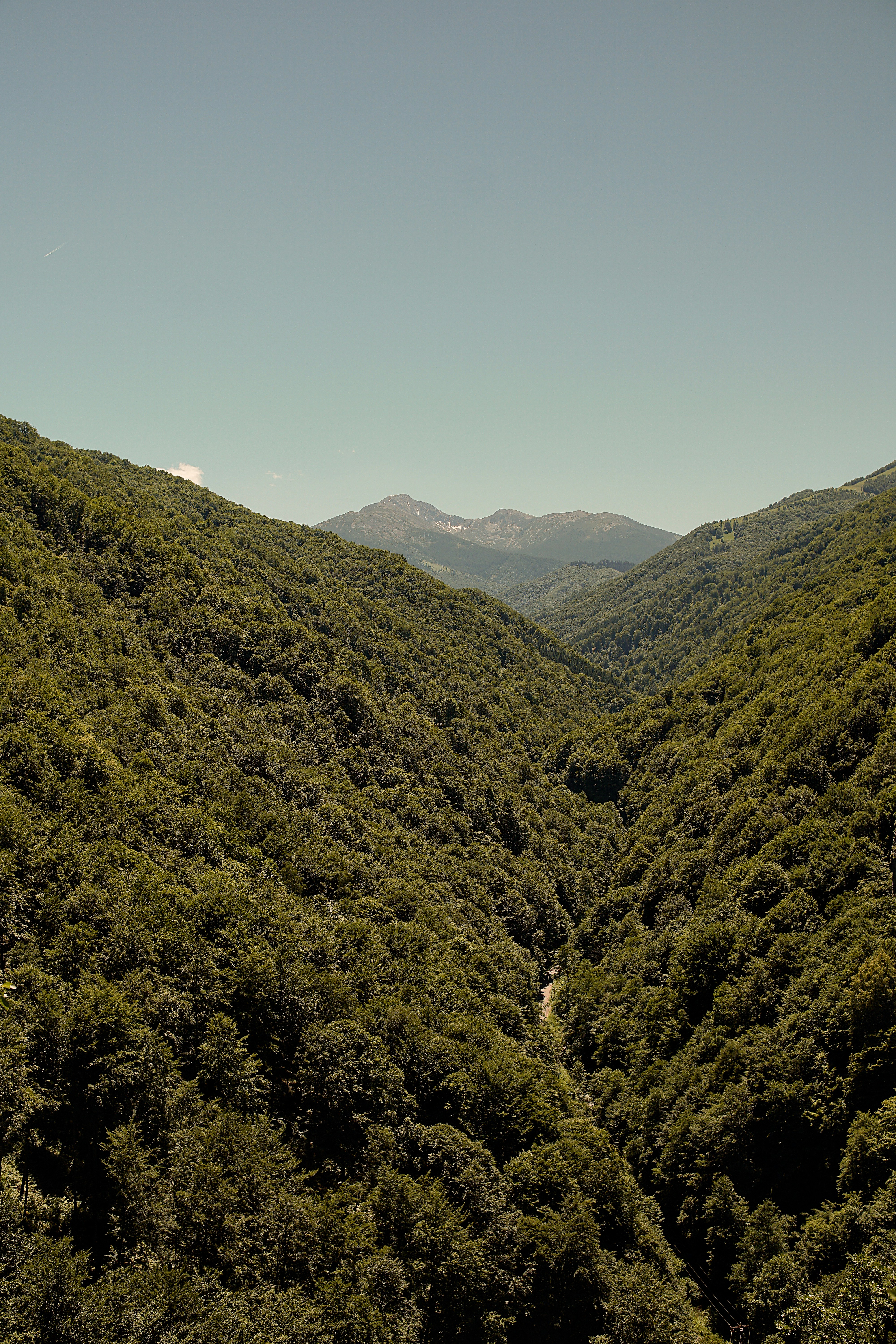 Lush green forested valley with distant mountains under clear sky