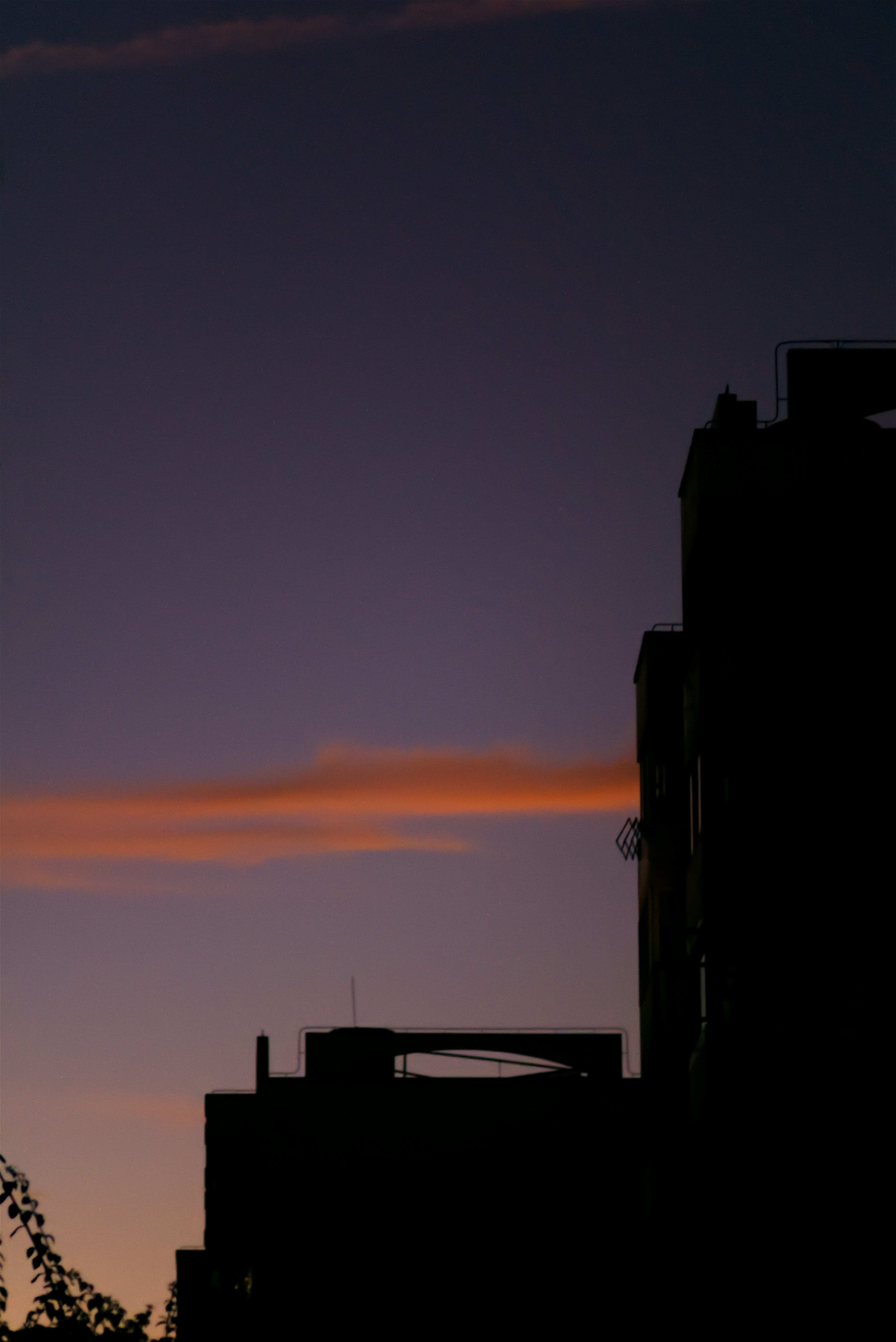 Photo by farvardin