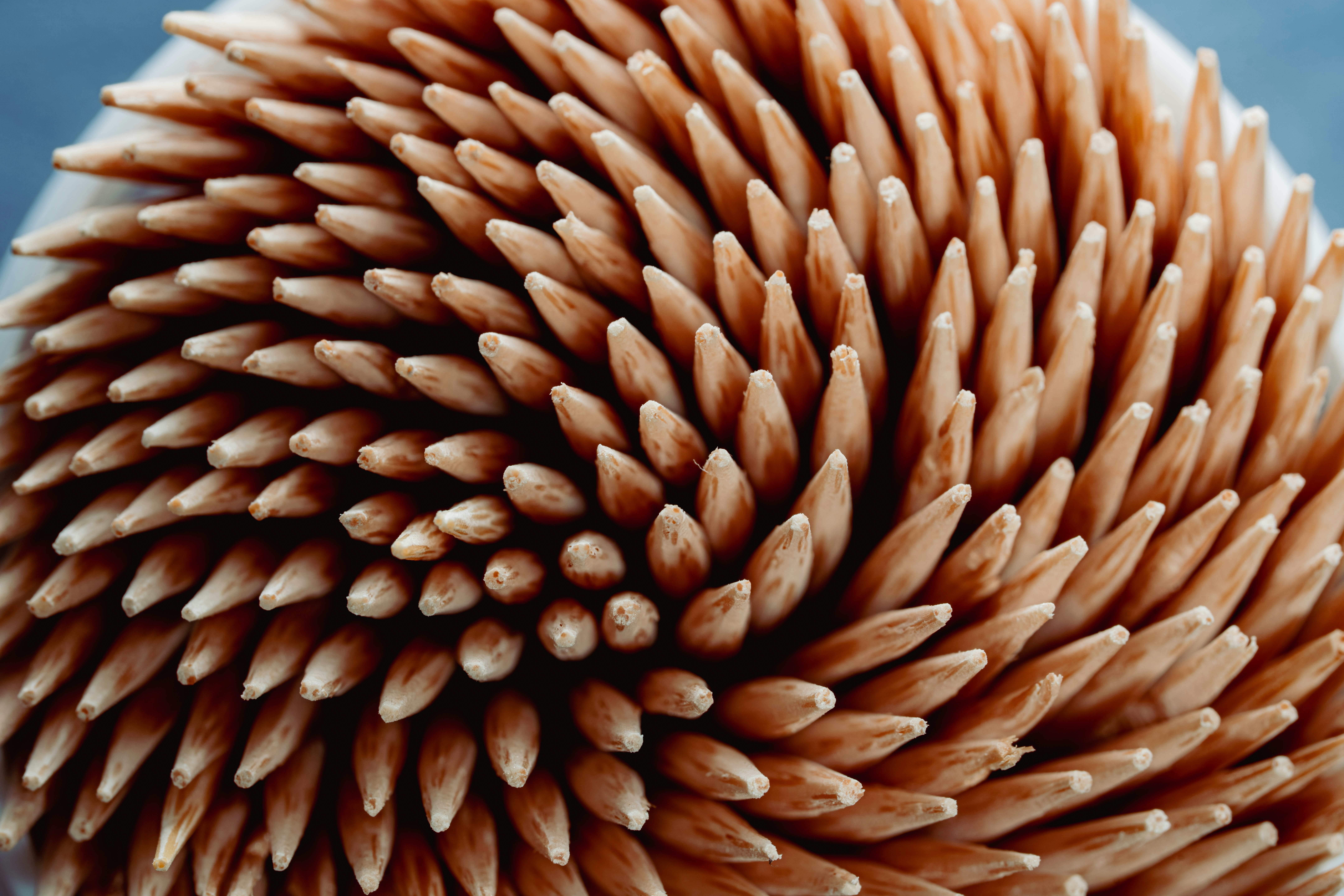 Photo by douglasalan