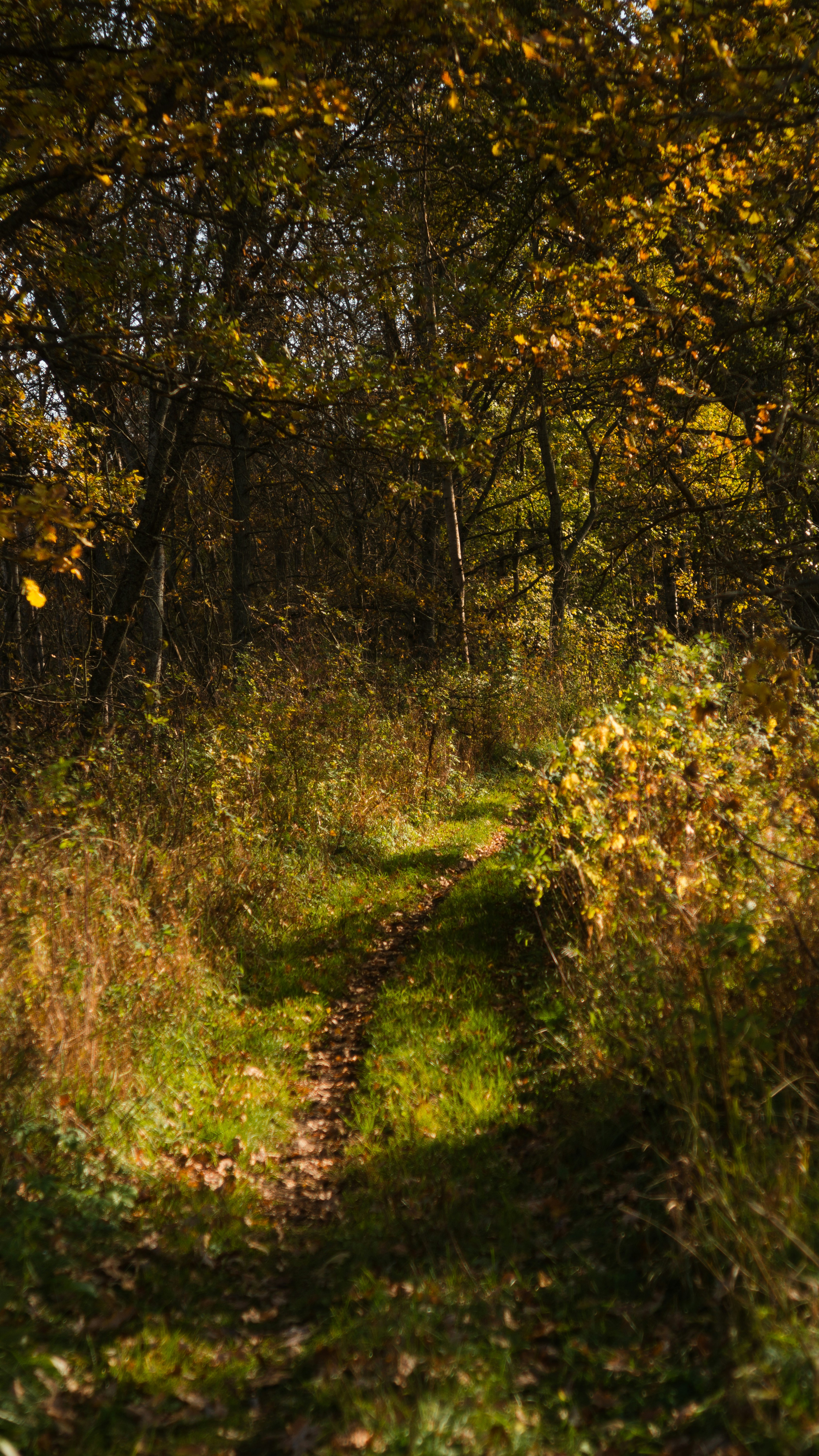 Photo by hodderphotos