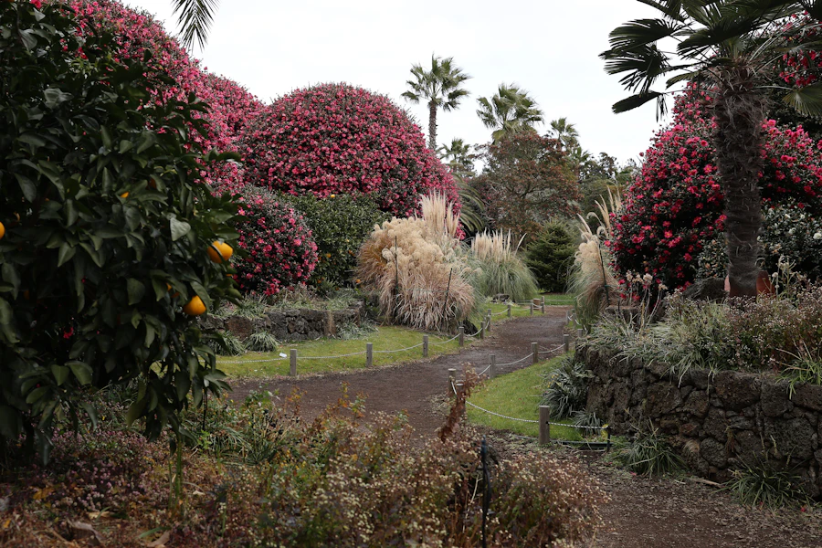 Allée fleurie du jardin botanique de Deshaies