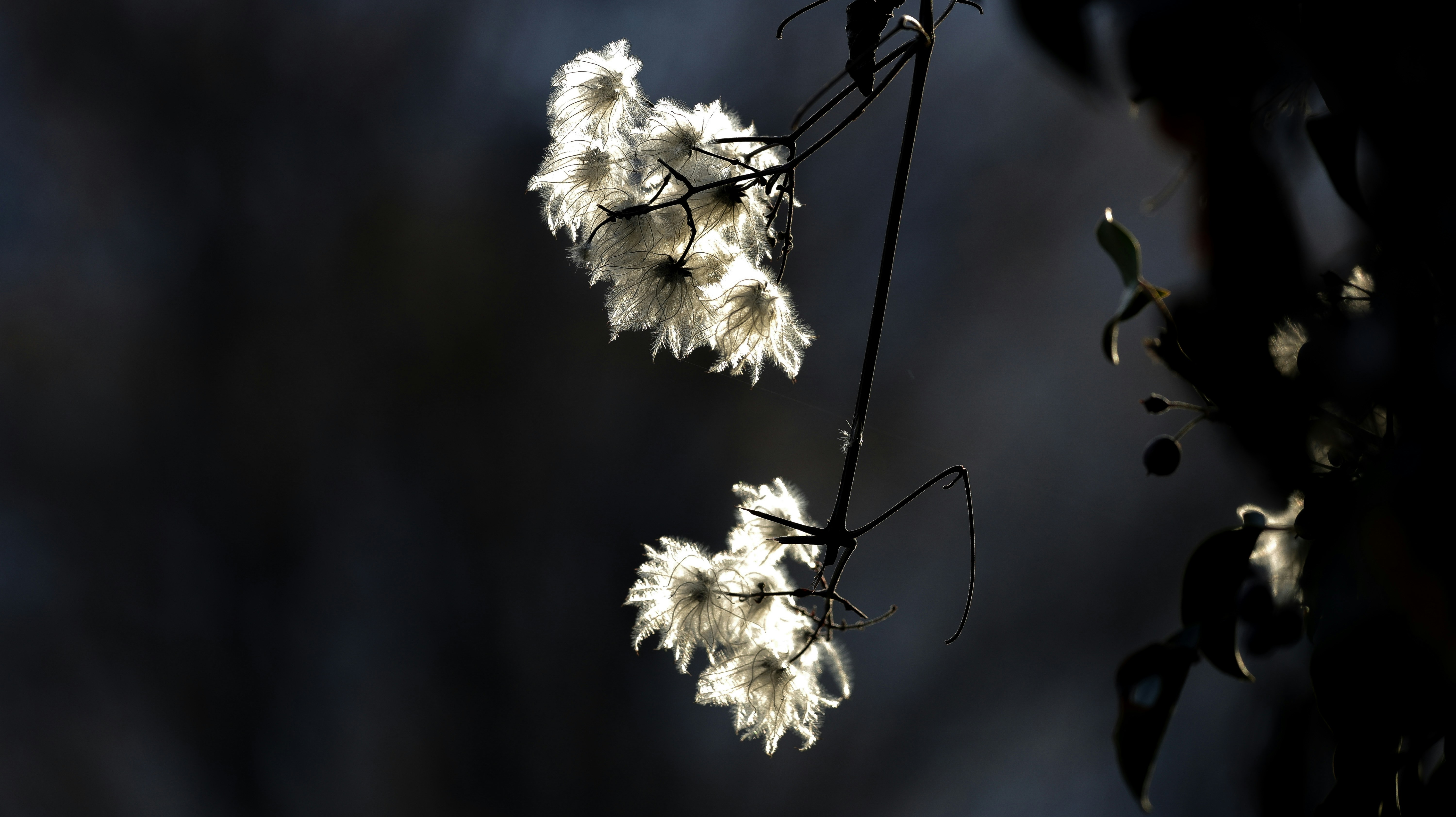 Photo by valomukitse