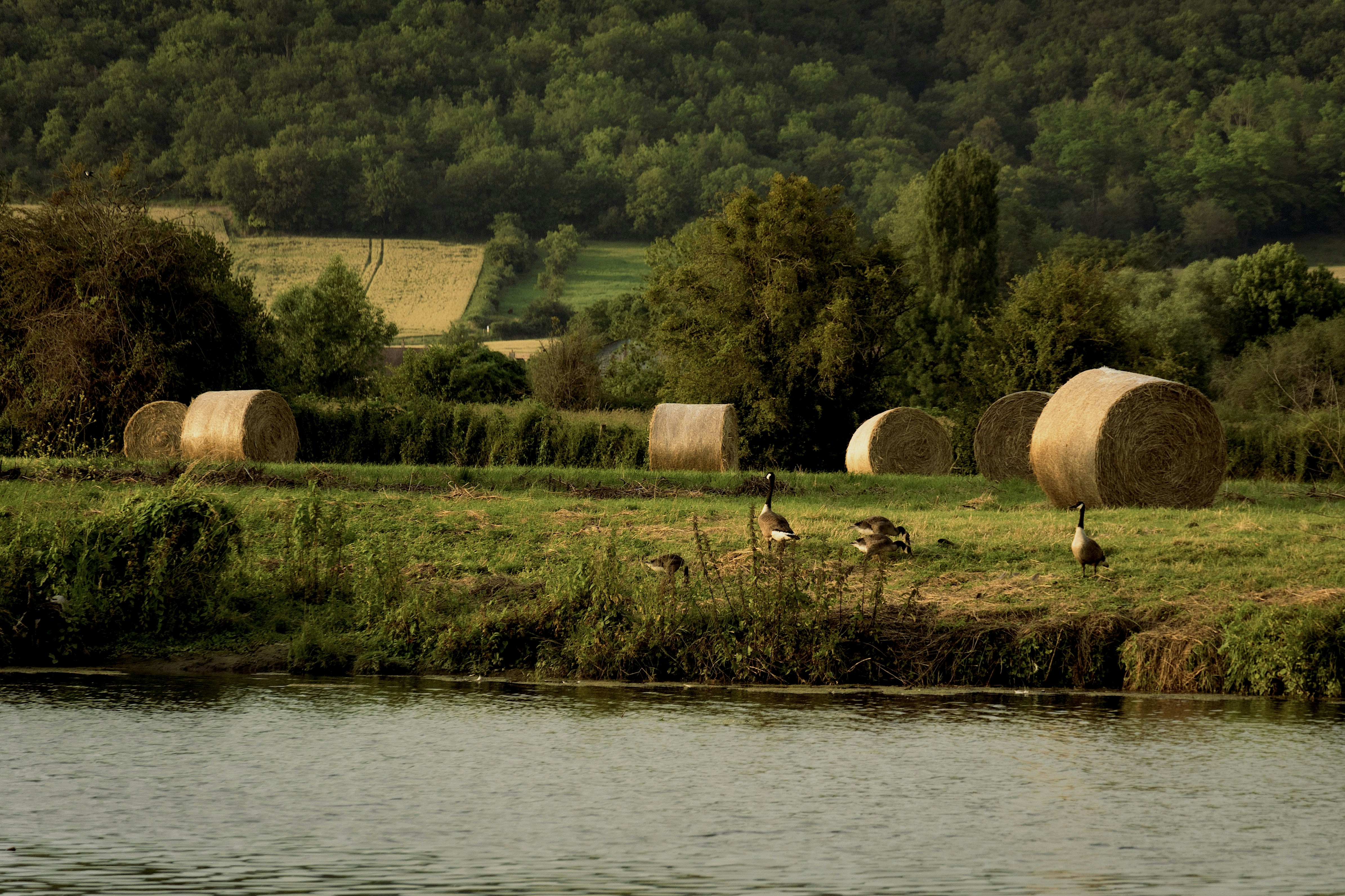 Photo by elisabertoja