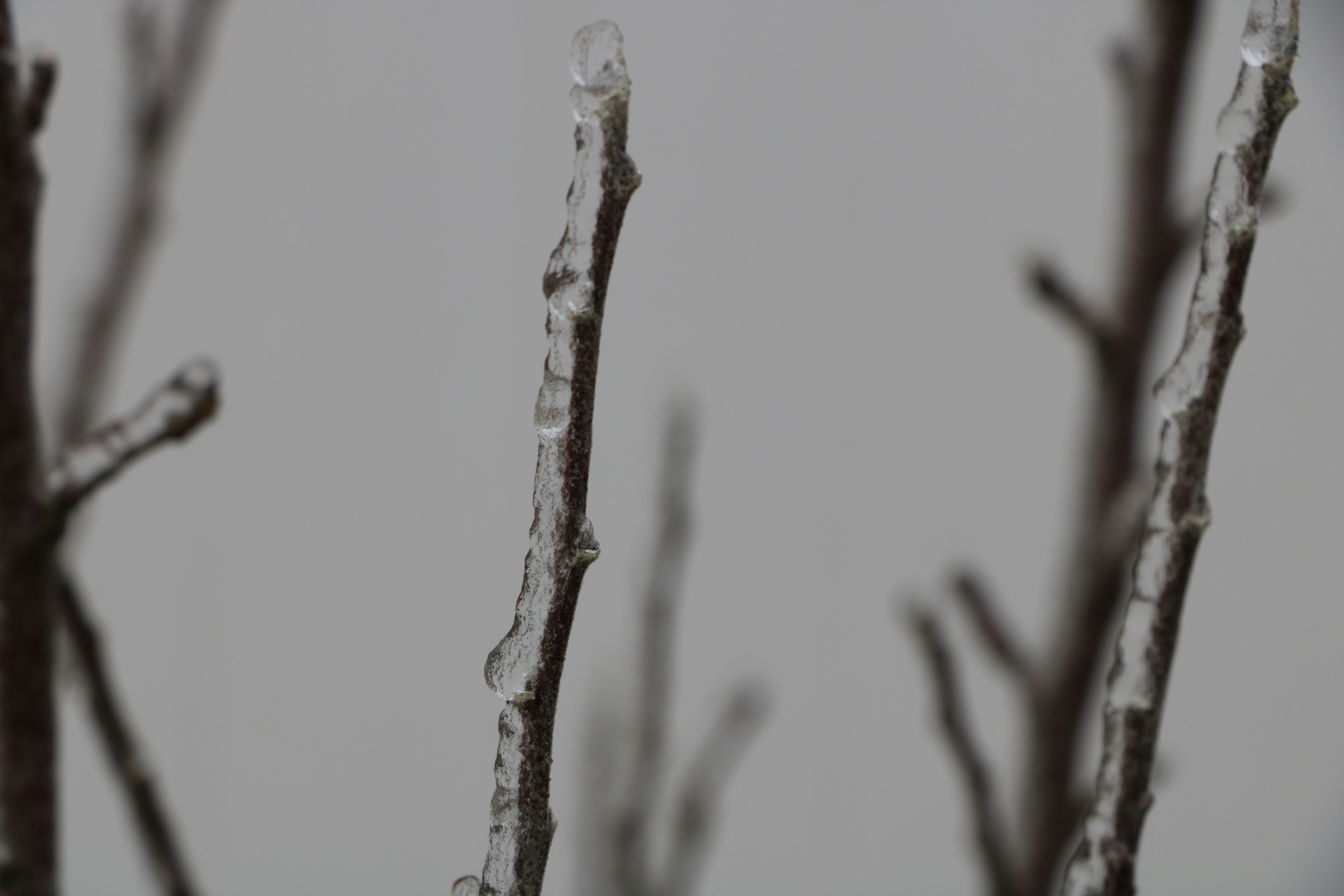 Heat Strategies for Rink Rinks: Keeping Cool During Busy Seasons