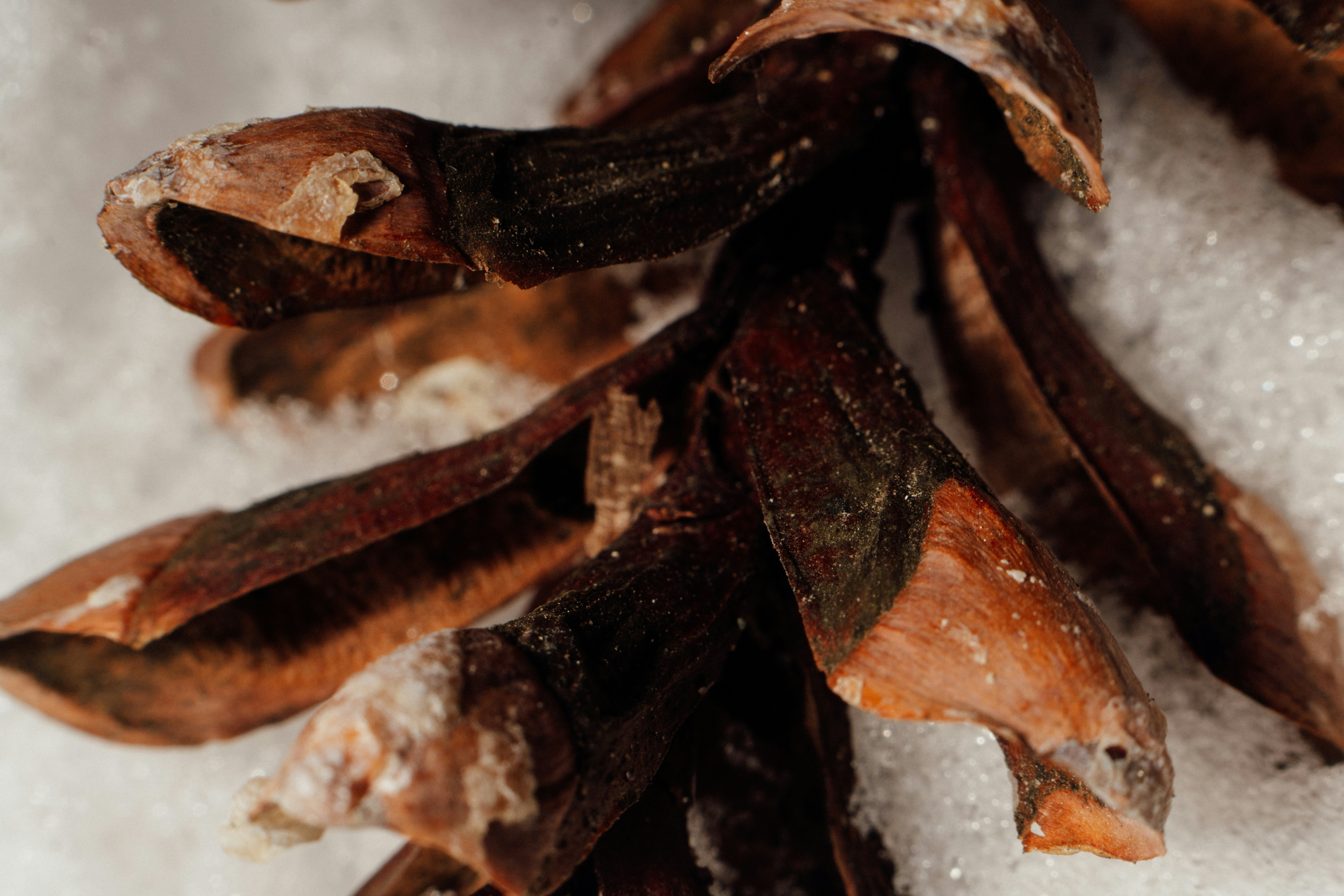 Photo by tellophotography