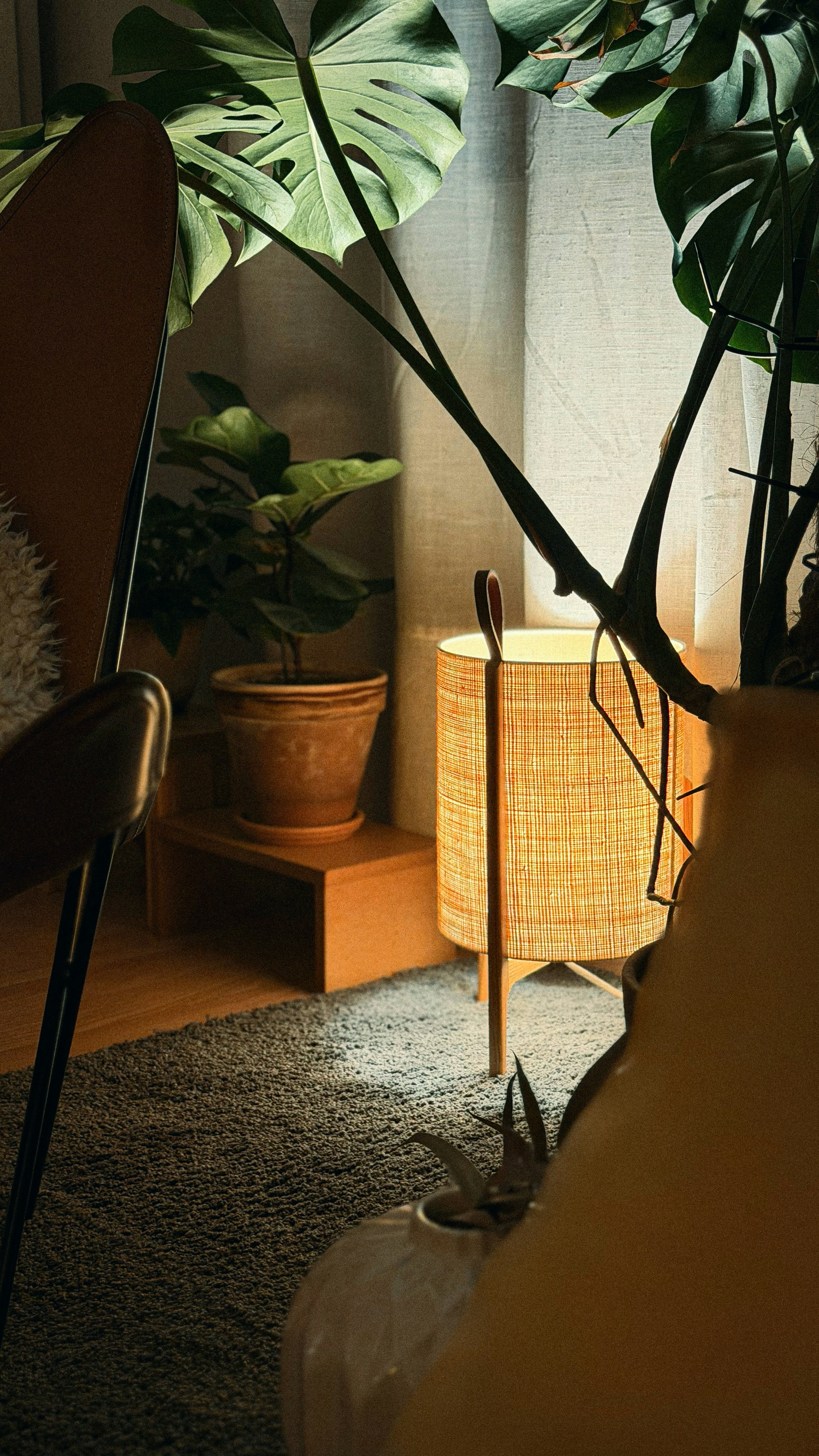 Photo by oriolpascual